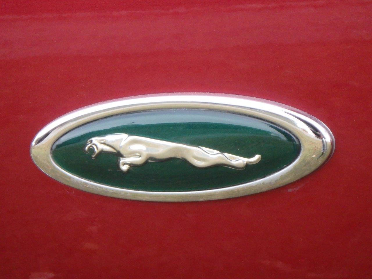 PA107041 Alastair Gibson 2024-04-23