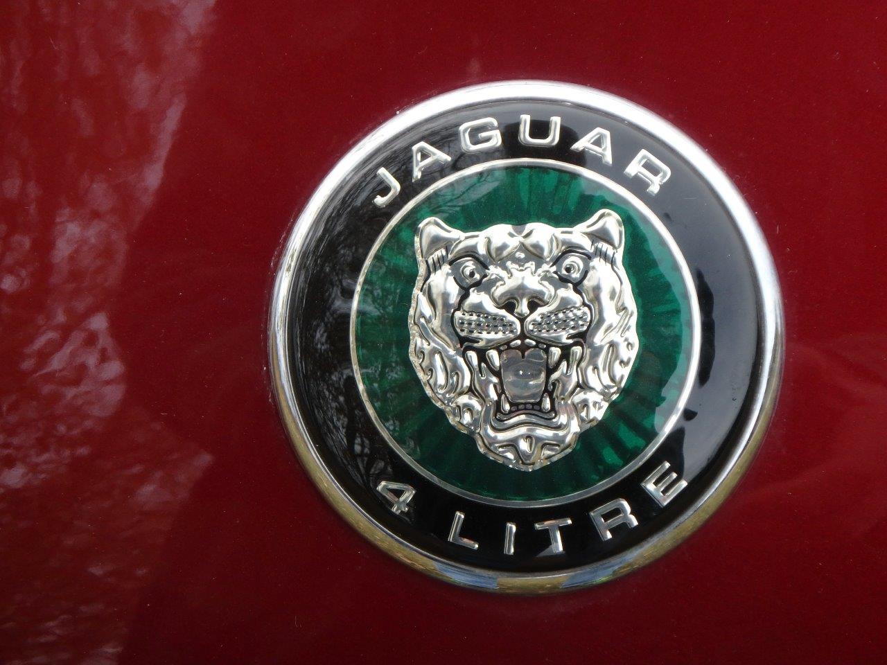 PA107042 Alastair Gibson 2024-04-23