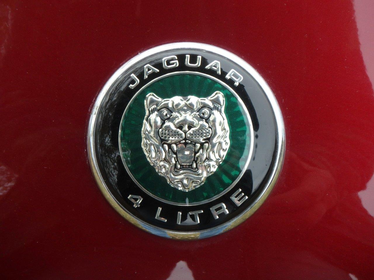 PA107043.1 Alastair Gibson 2024-04-23