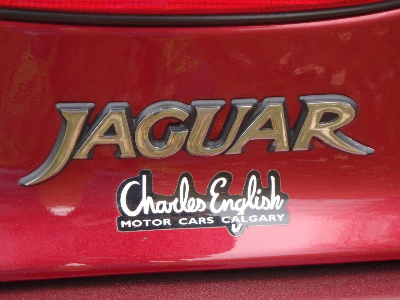 PA107054 Alastair Gibson 2024-04-23