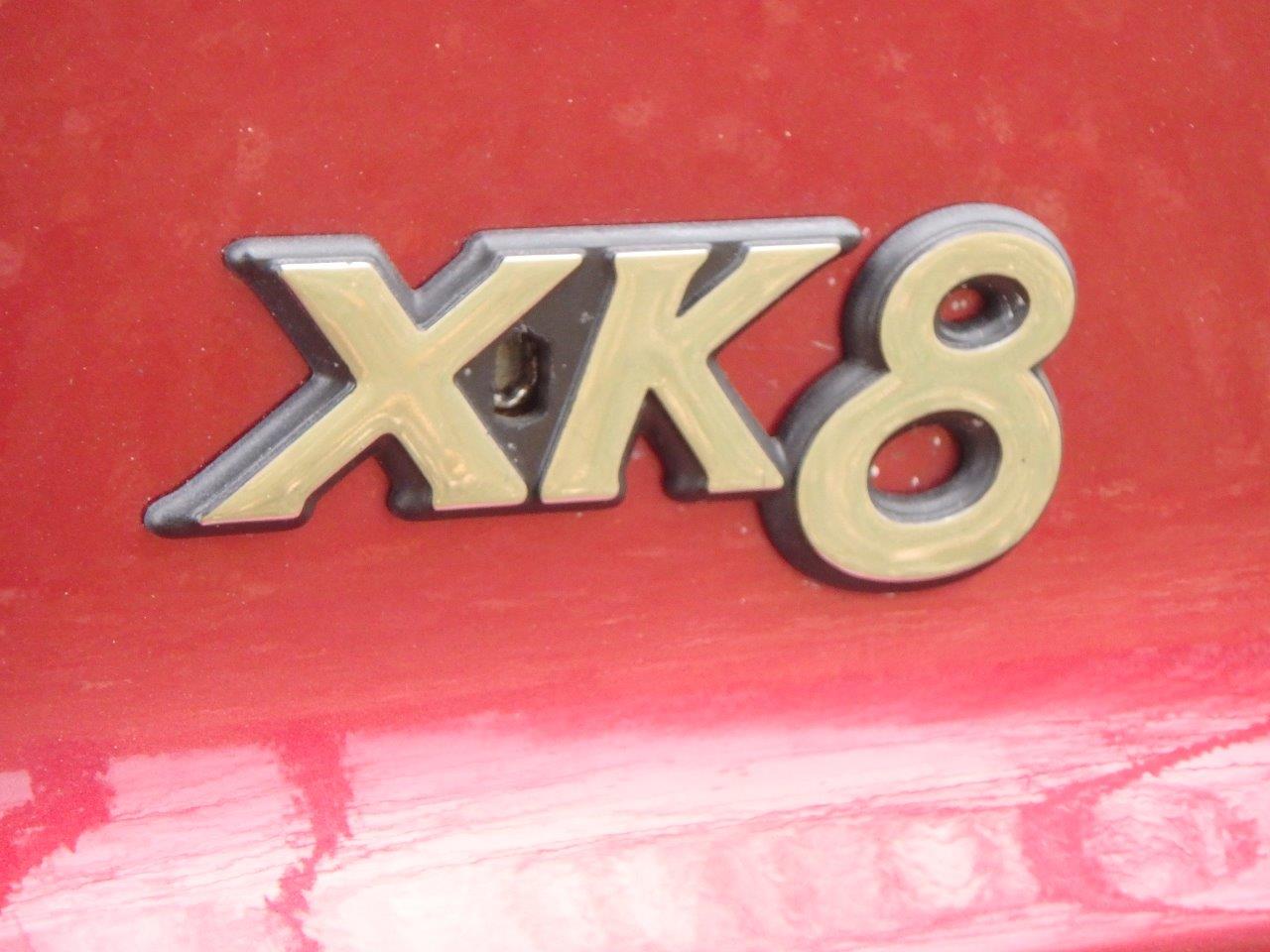 PA107055 Alastair Gibson 2024-04-23