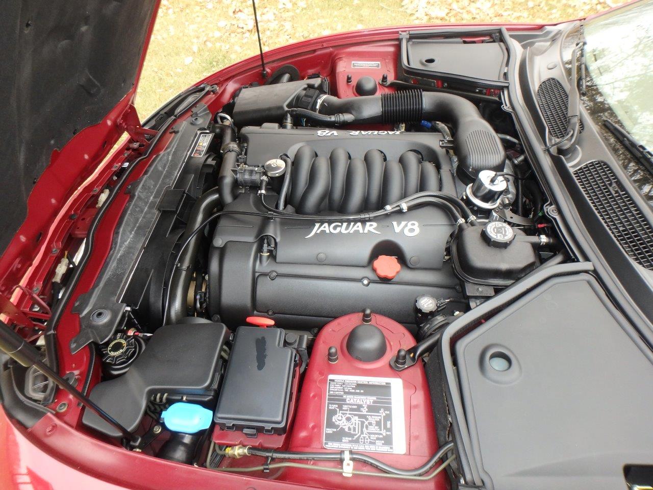 PA107066 Alastair Gibson 2024-04-23