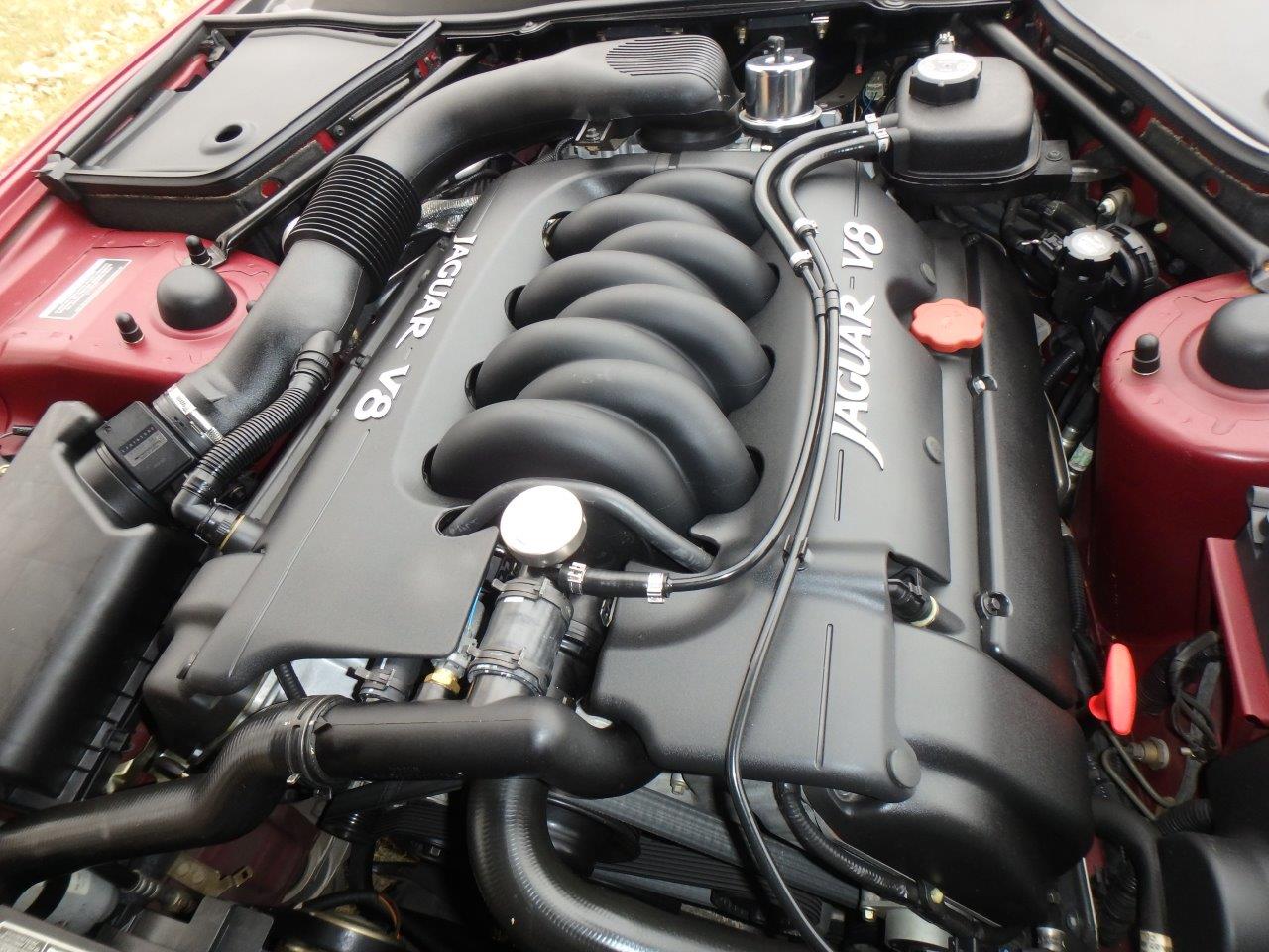 PA107067 Alastair Gibson 2024-04-23