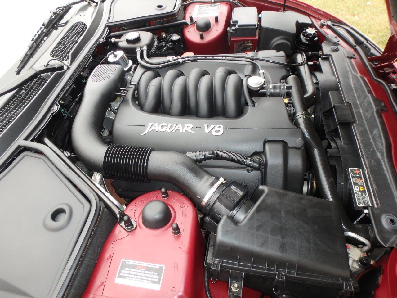 PA107068 Alastair Gibson 2024-04-23