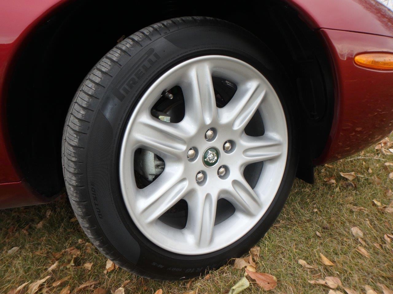 PA107073 Alastair Gibson 2024-04-23