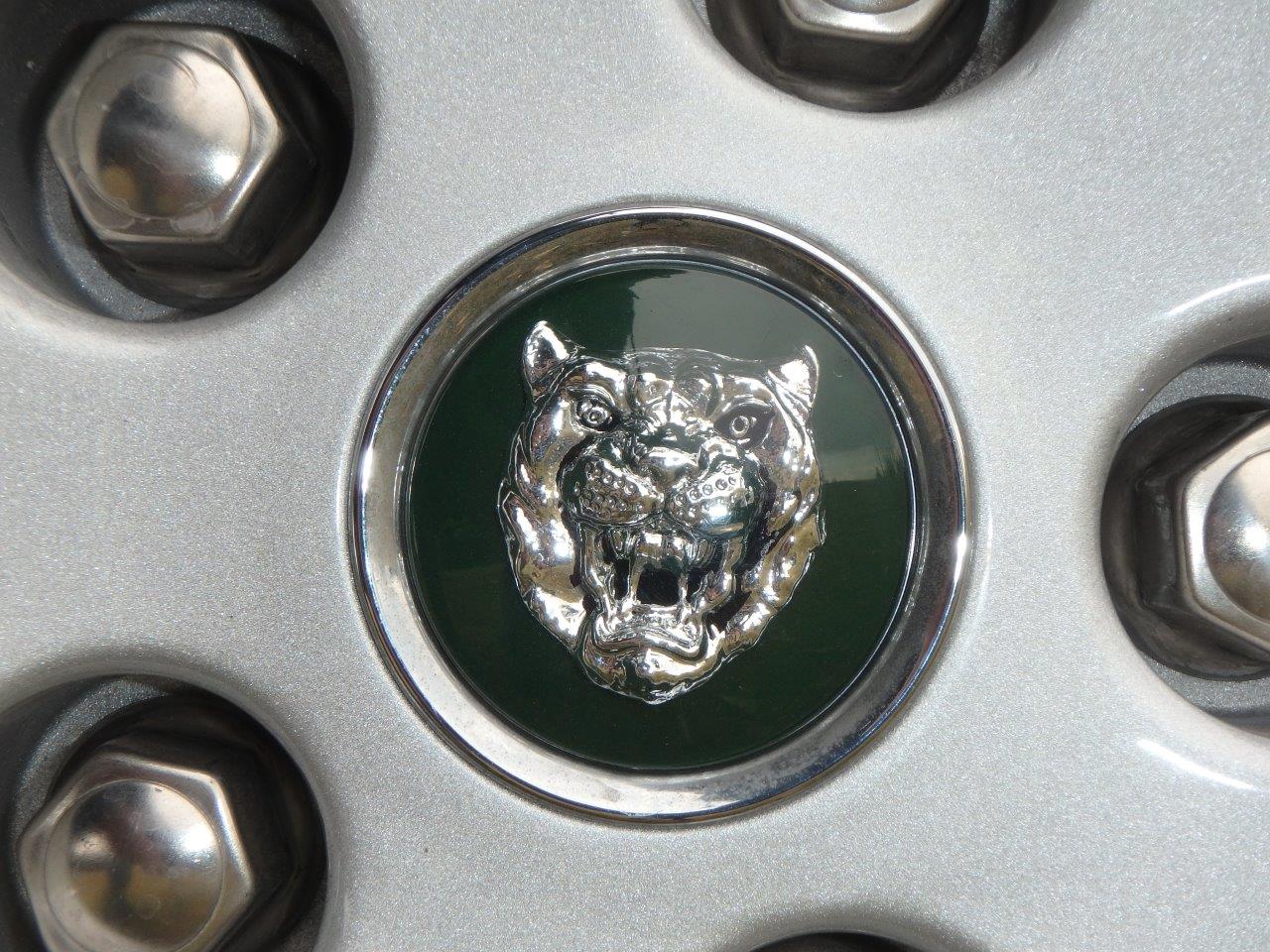 PA107074.1 Alastair Gibson 2024-04-23