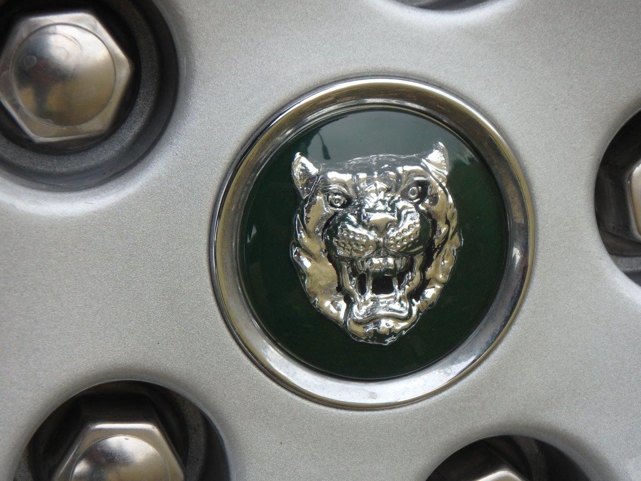 PA107074.2 Alastair Gibson 2024-04-23