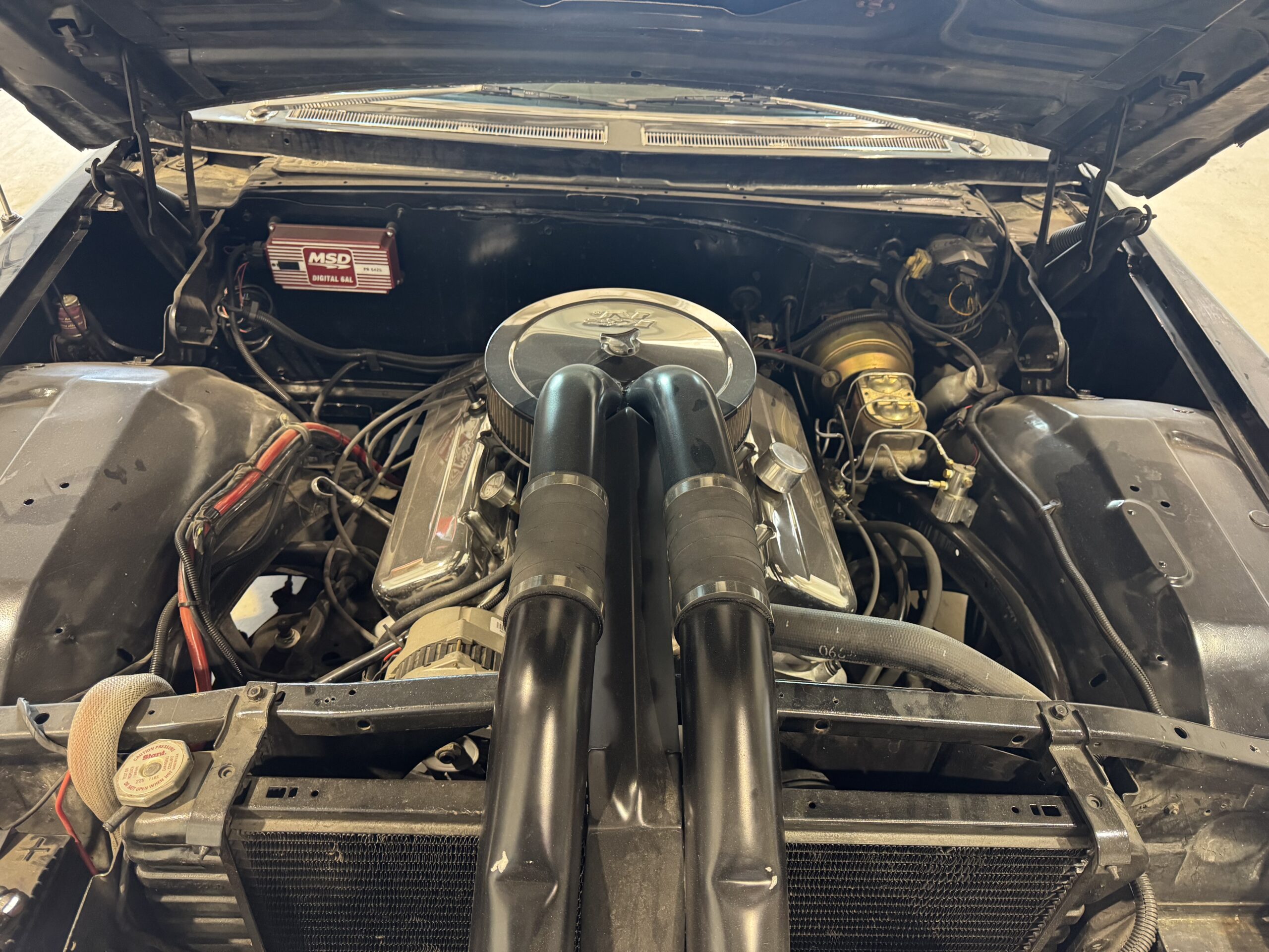 Photo 2025-04-20, 2 45 02 PM