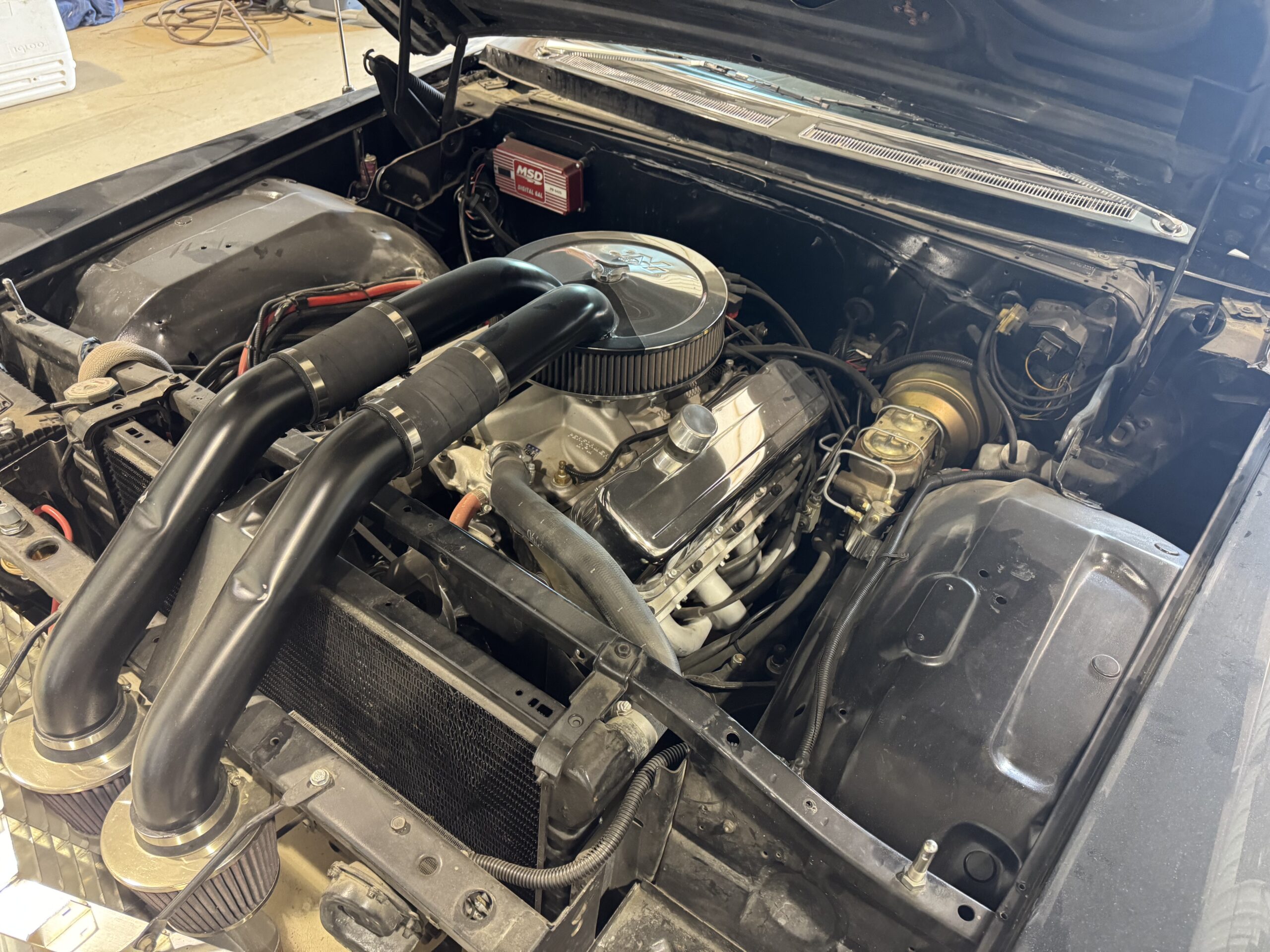 Photo 2025-04-20, 2 45 05 PM