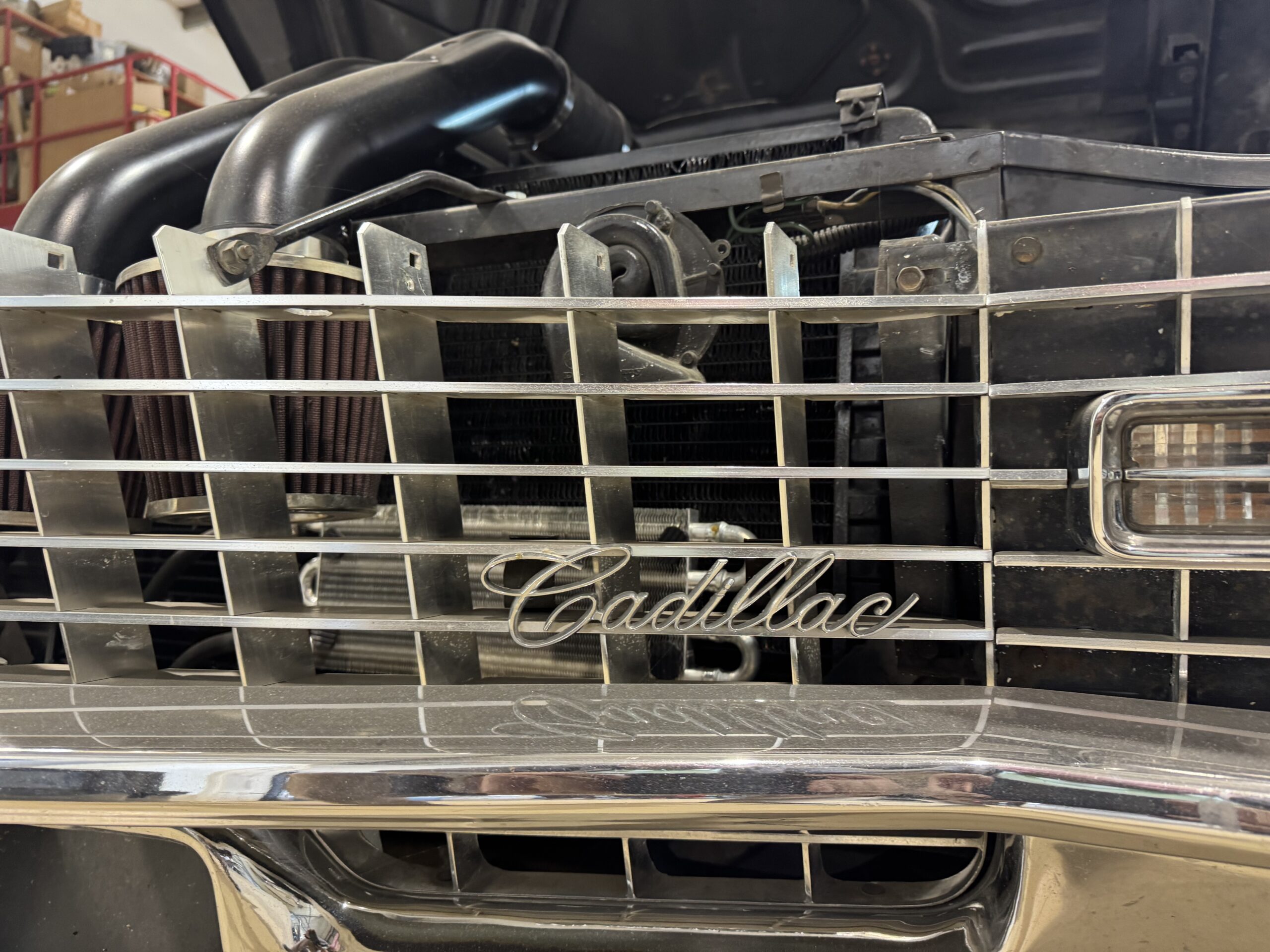 Photo 2025-04-20, 2 45 11 PM