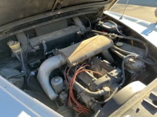 IMG_0071 Richard Strand 2024-05-16 (1)