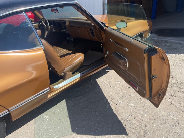 IMG_1363 Terrance Taylor 2024-05-18