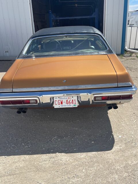 IMG_1365 Terrance Taylor 2024-05-18