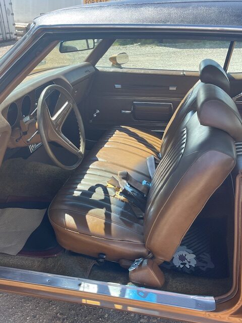 IMG_1368 Terrance Taylor 2024-05-18