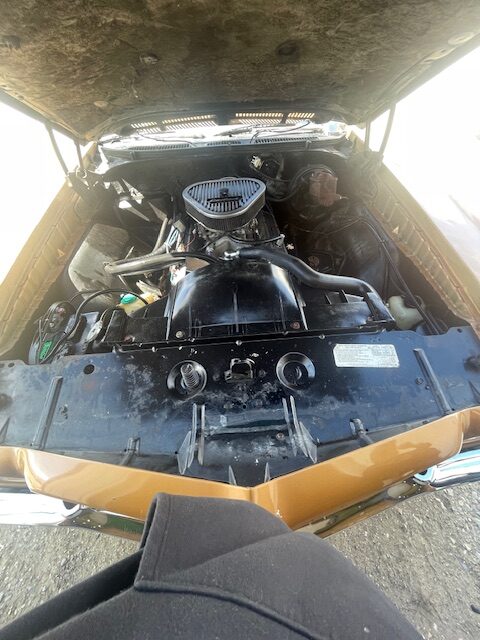 IMG_1370 Terrance Taylor 2024-05-18