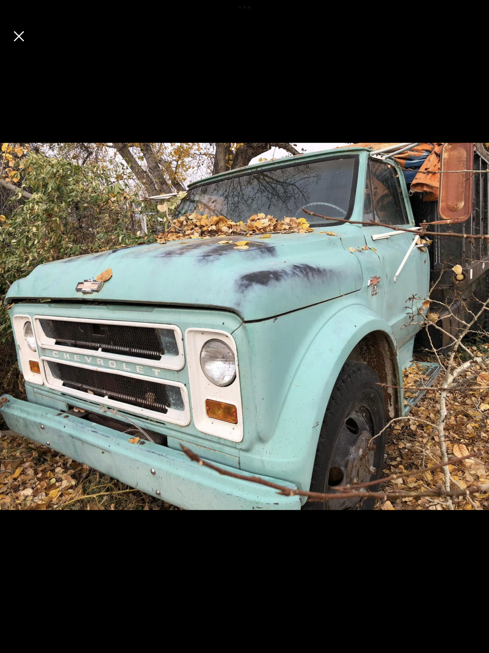 IMG_2276 David Profeta 2024-05-06