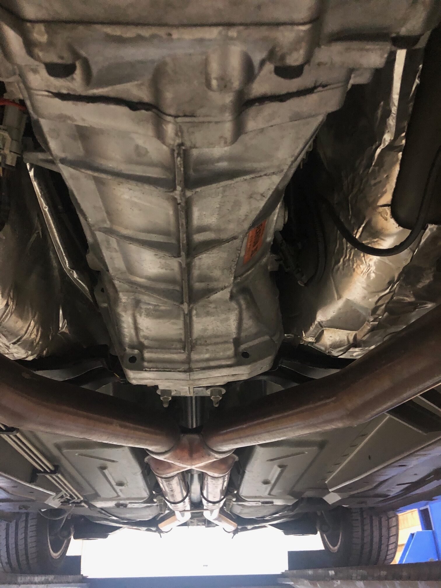 IMG_3126 Terrance Taylor 2024-05-20