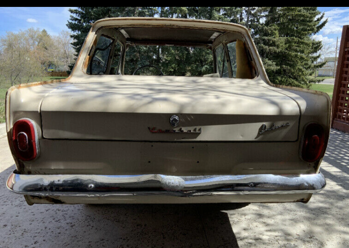 IMG_4986 David profeta 2024-05-13