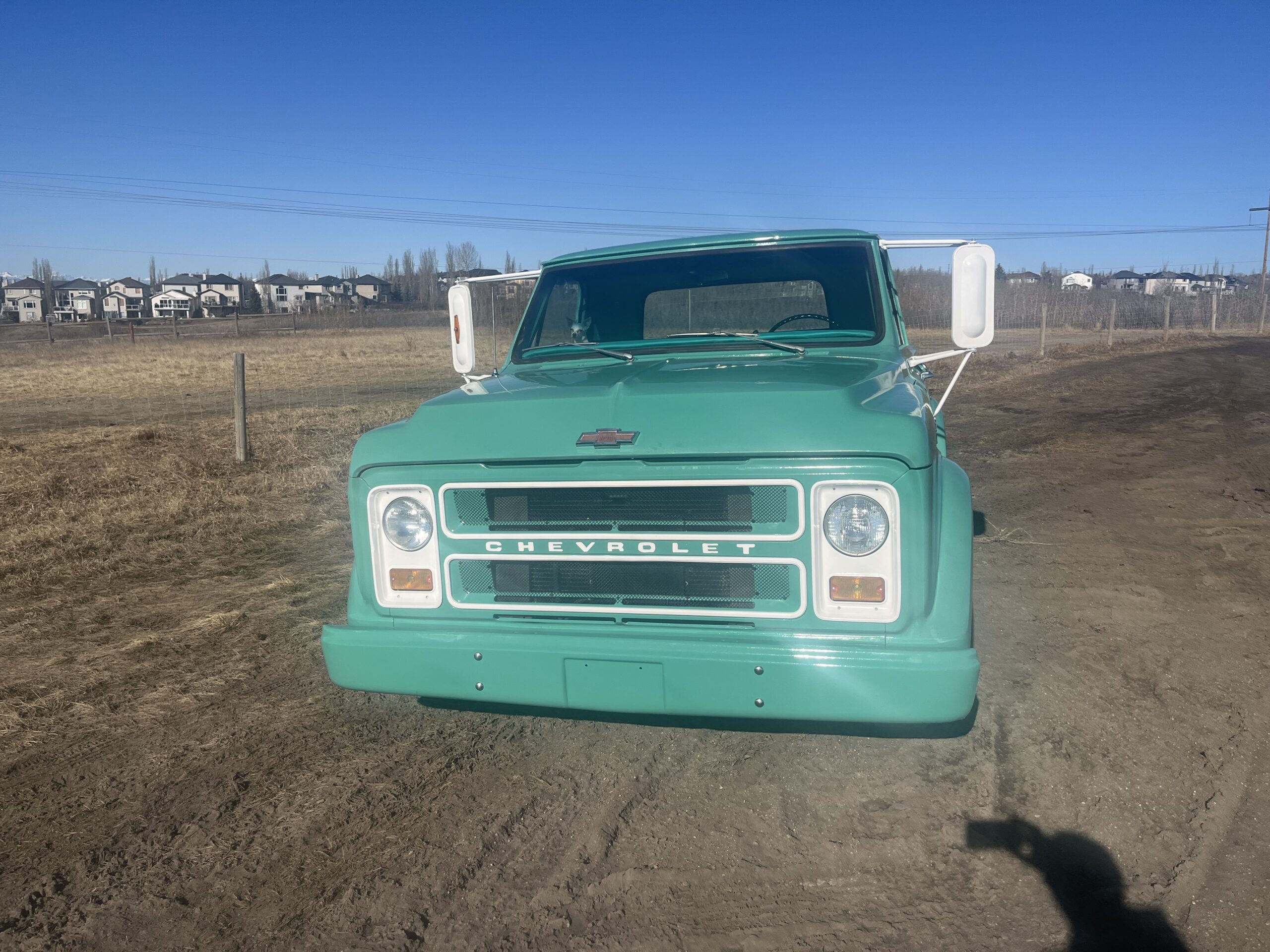 IMG_9194 David Profeta 2024-05-06