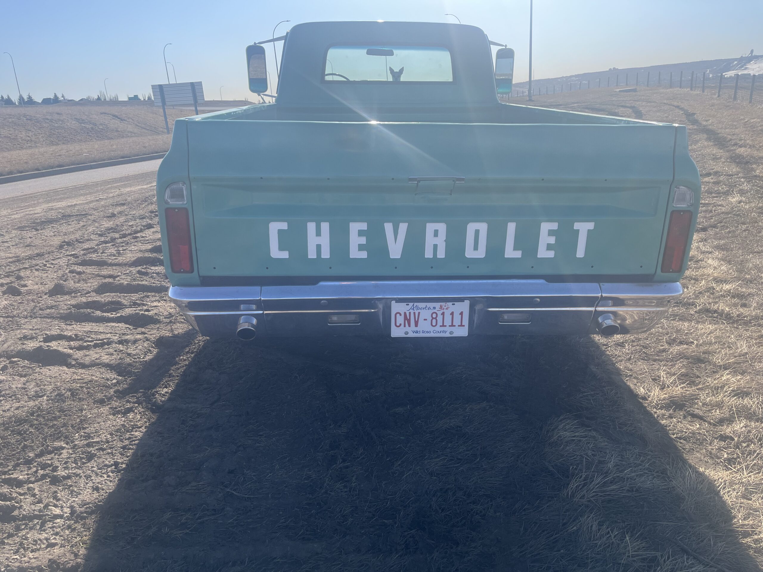 IMG_9197 David Profeta 2024-05-06