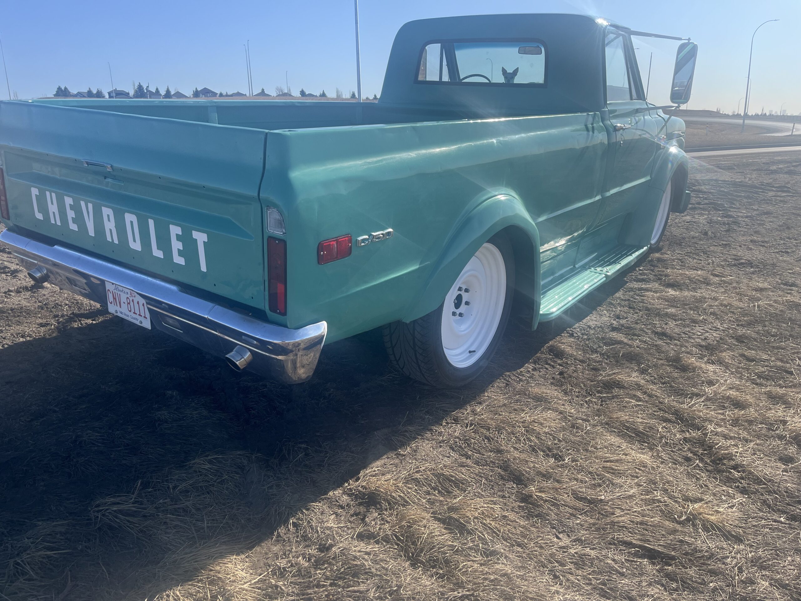 IMG_9198 David Profeta 2024-05-06