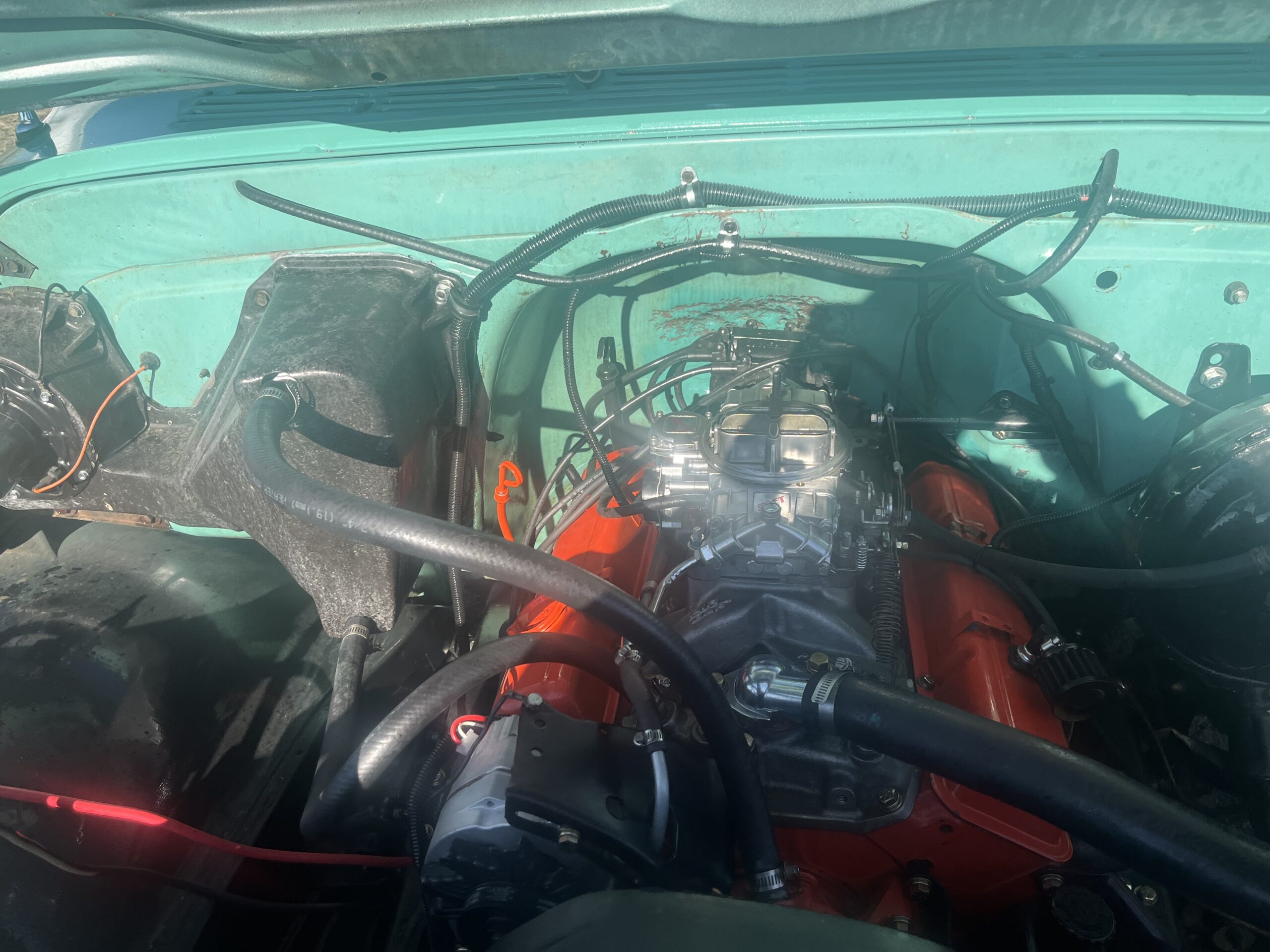 IMG_9201 David Profeta 2024-05-06