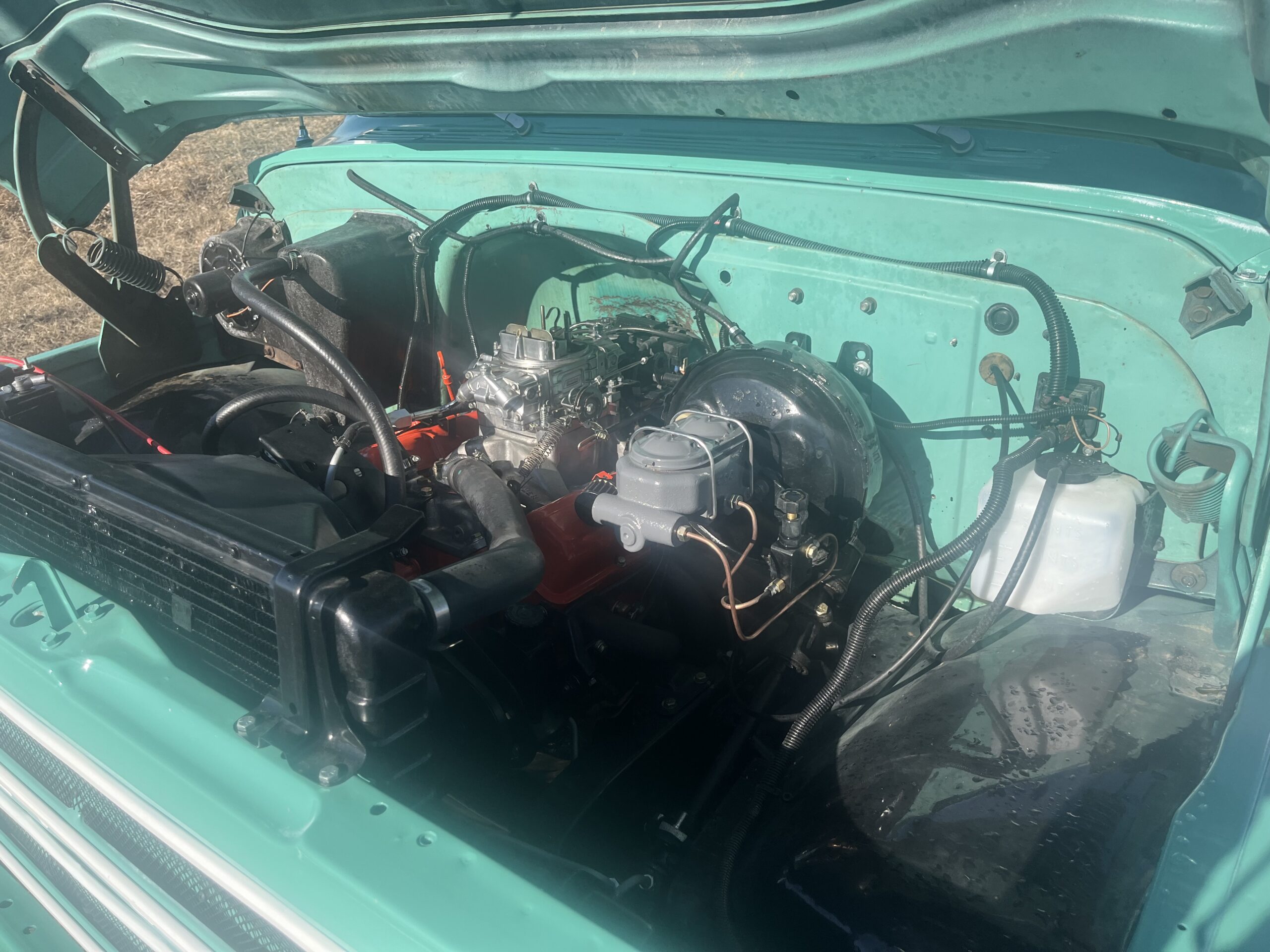 IMG_9202 David Profeta 2024-05-06