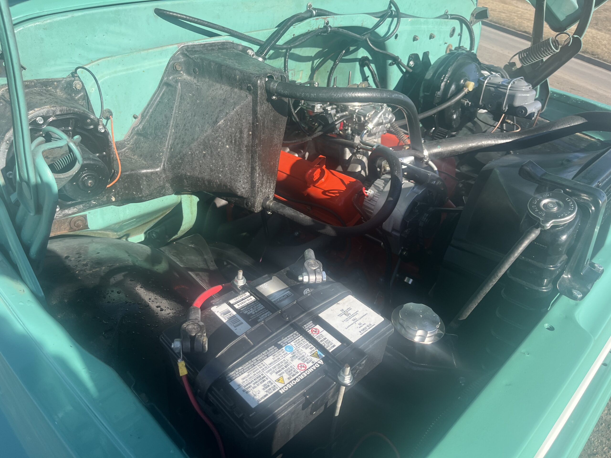 IMG_9203 David Profeta 2024-05-06