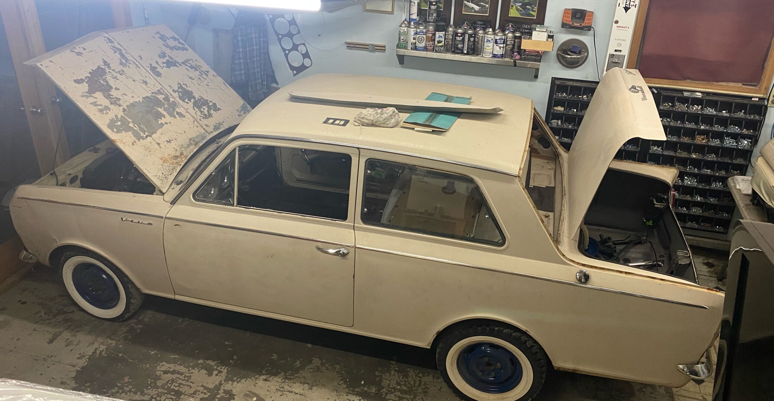 IMG_9216 David profeta 2024-05-13