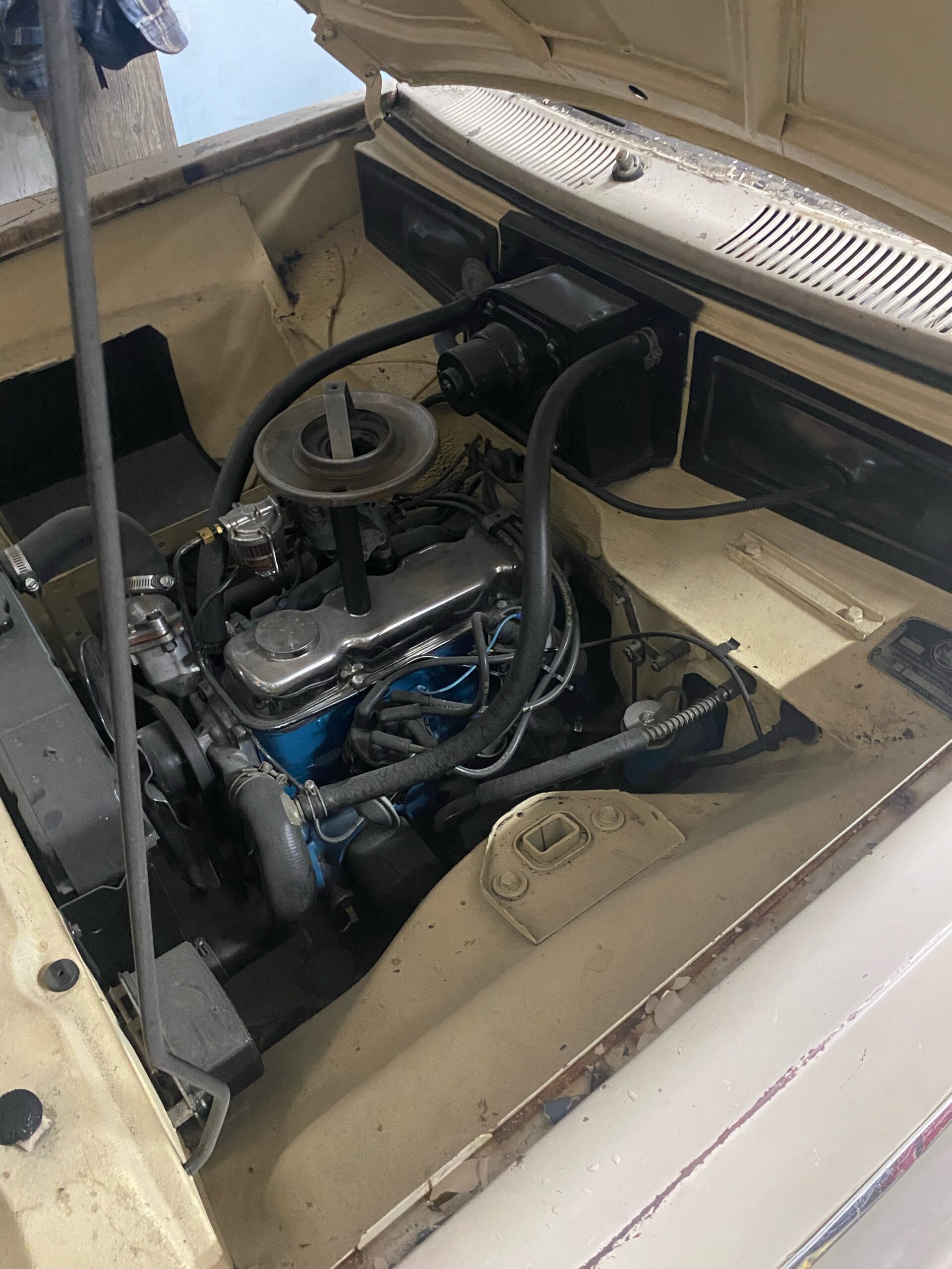 IMG_9217 David profeta 2024-05-13