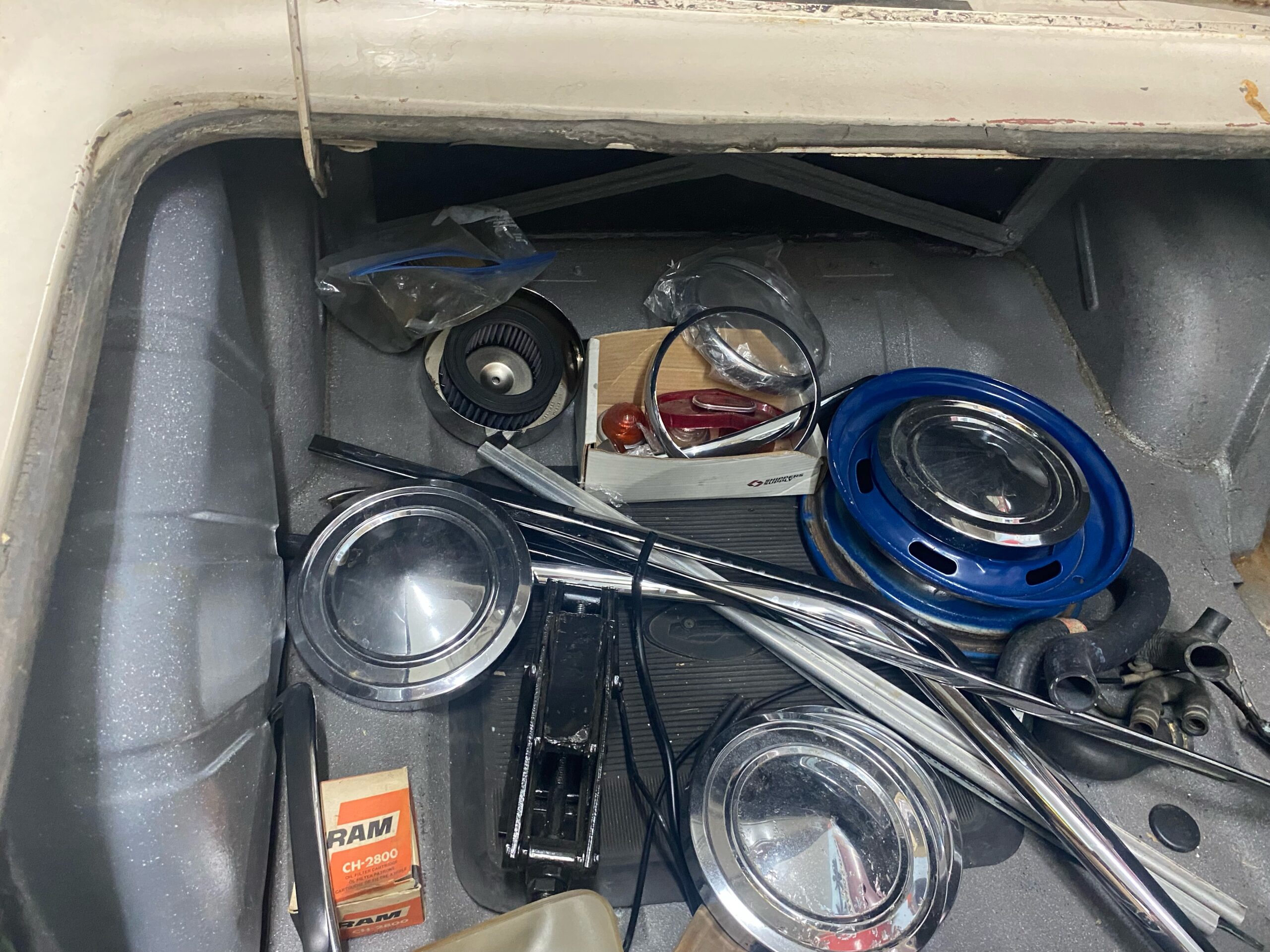 IMG_9222 David profeta 2024-05-13