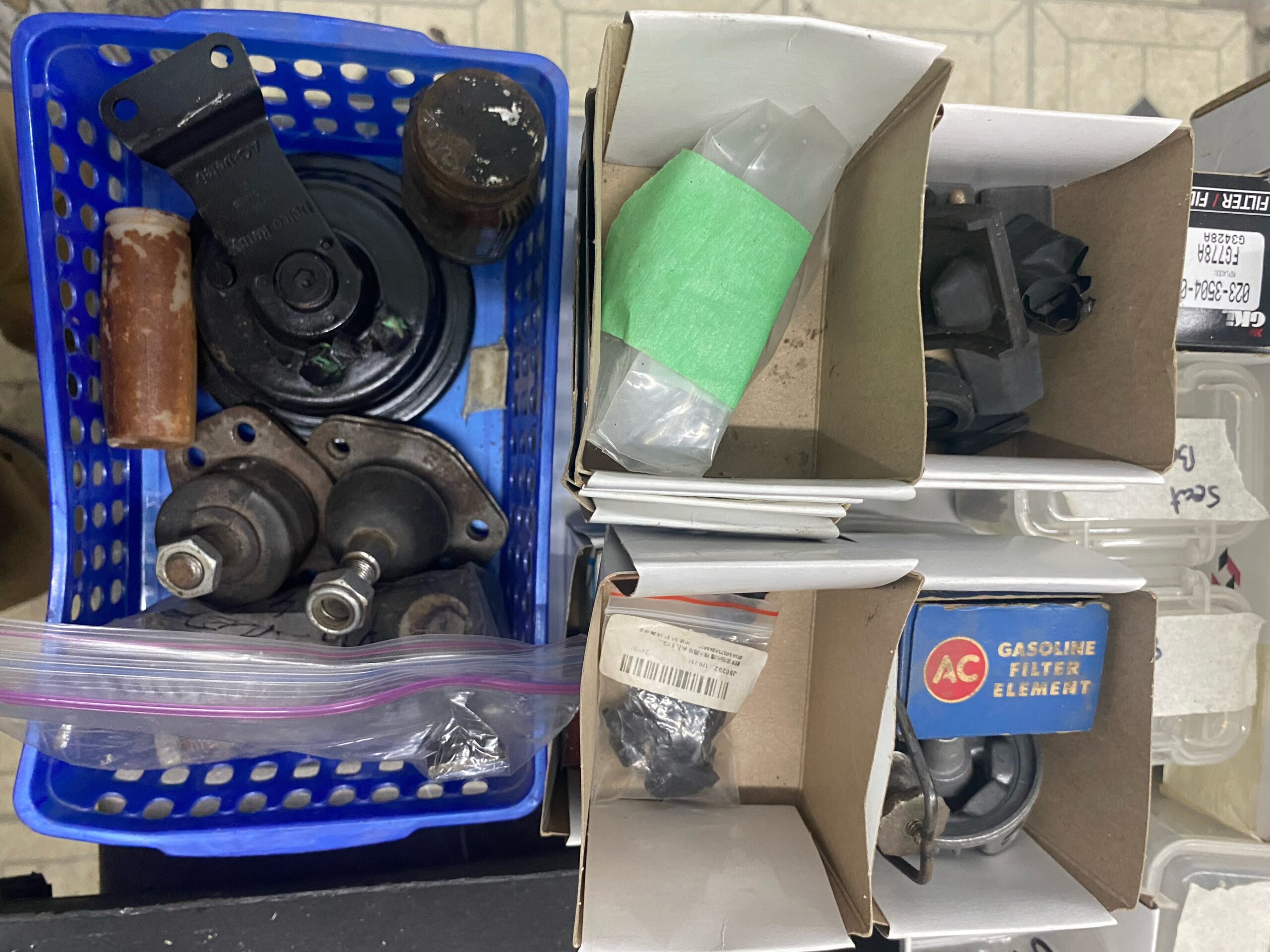 IMG_9225 David profeta 2024-05-13