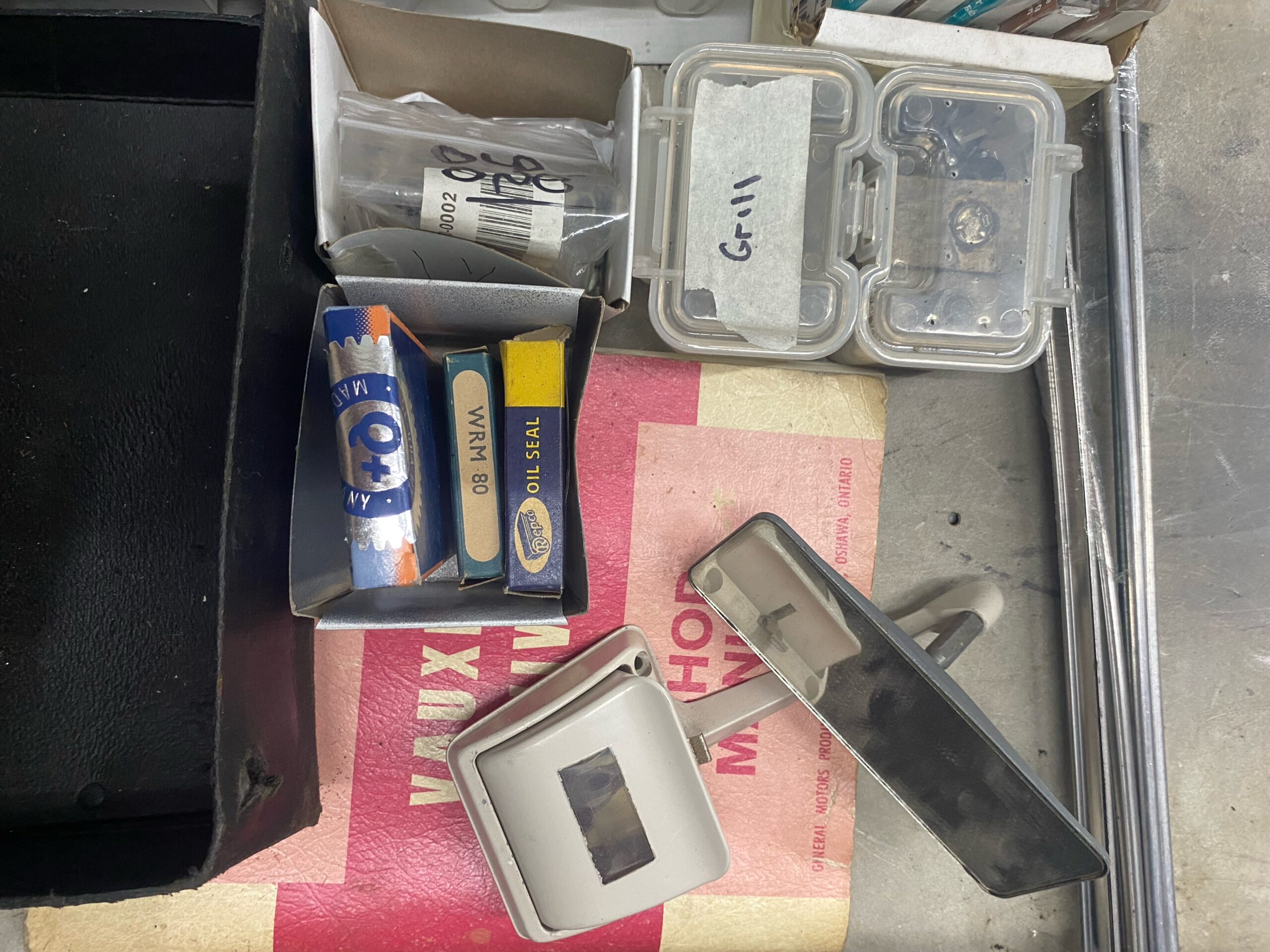 IMG_9226 David profeta 2024-05-13