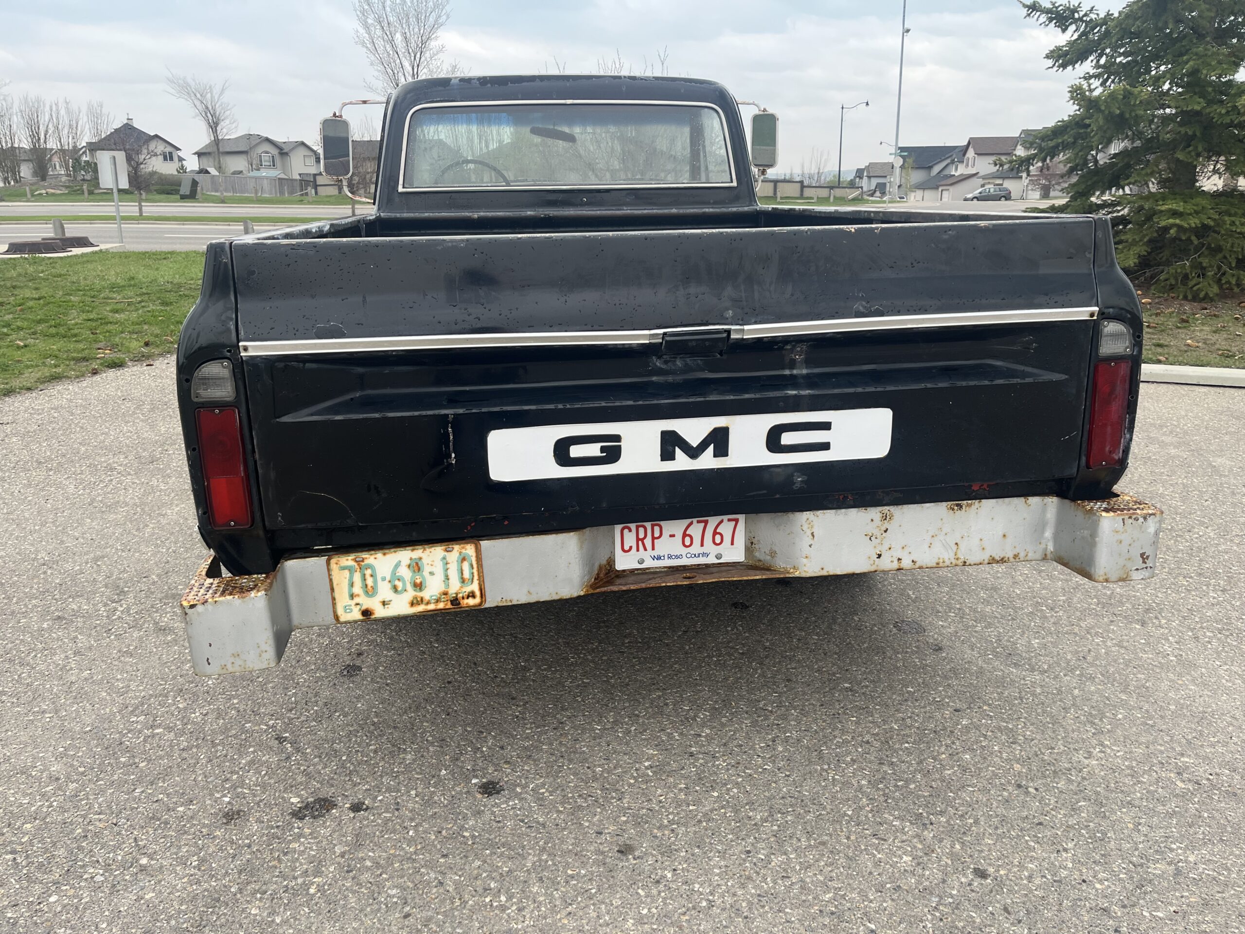 IMG_9524 David Profeta 2024-05-13