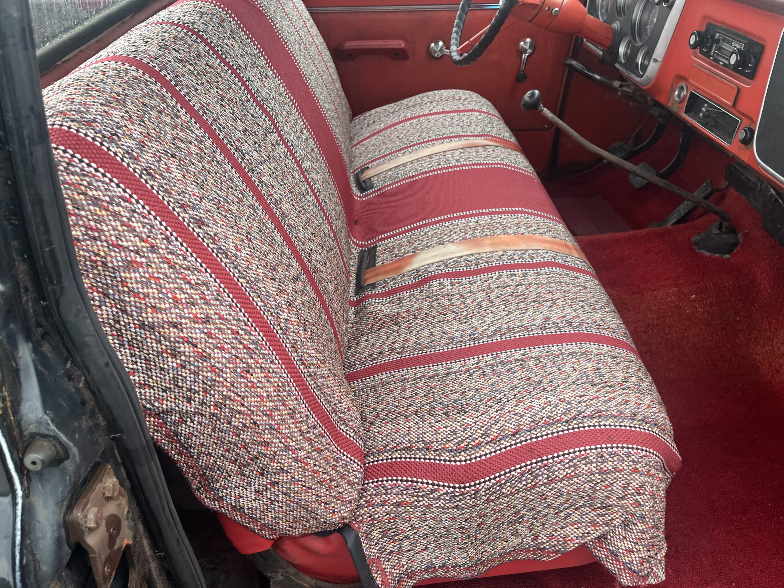 IMG_9531 David Profeta 2024-05-13