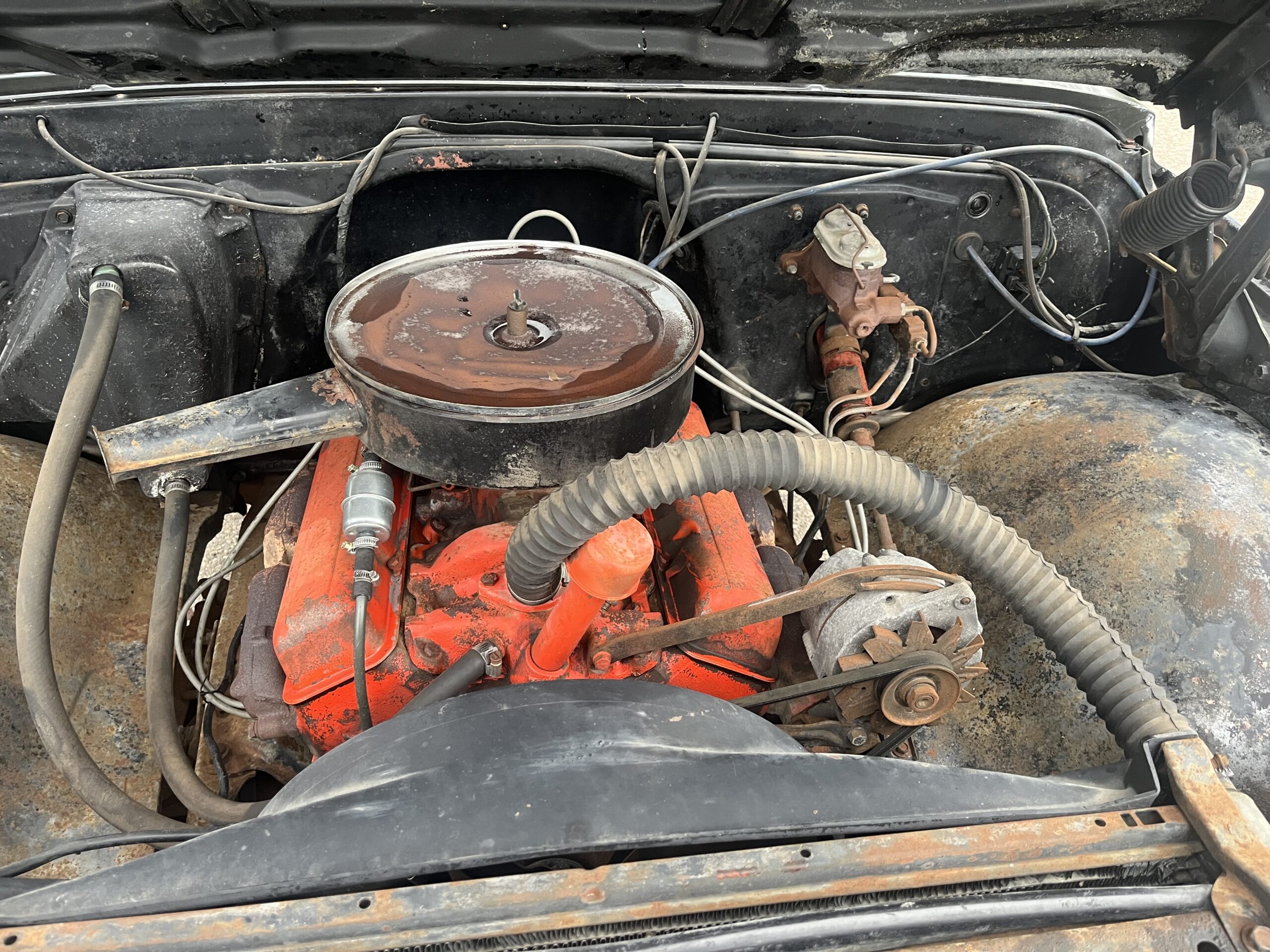 IMG_9532 David Profeta 2024-05-13