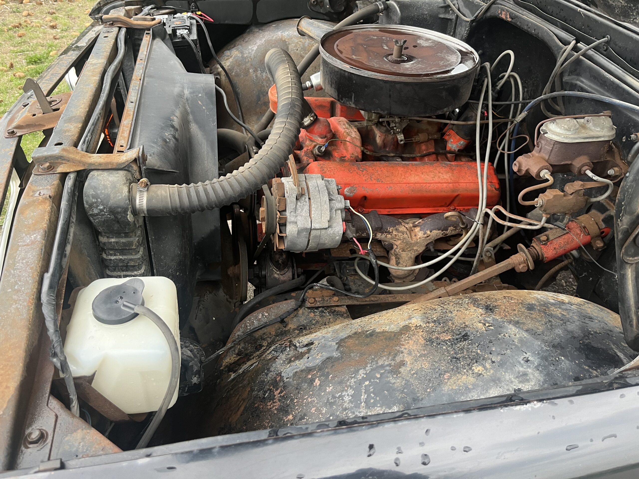 IMG_9534 David Profeta 2024-05-13