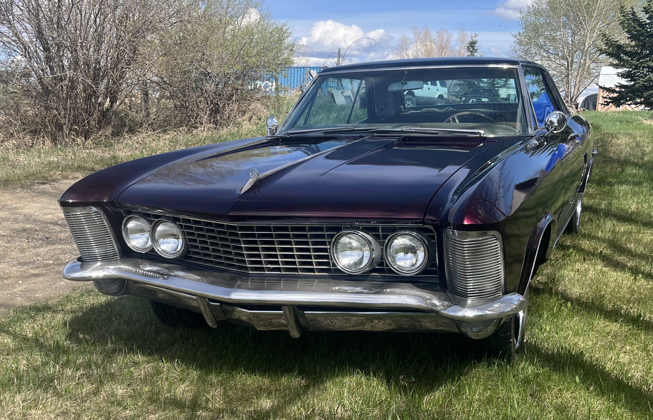 IMG_9559 Robin spruir 2024-05-14