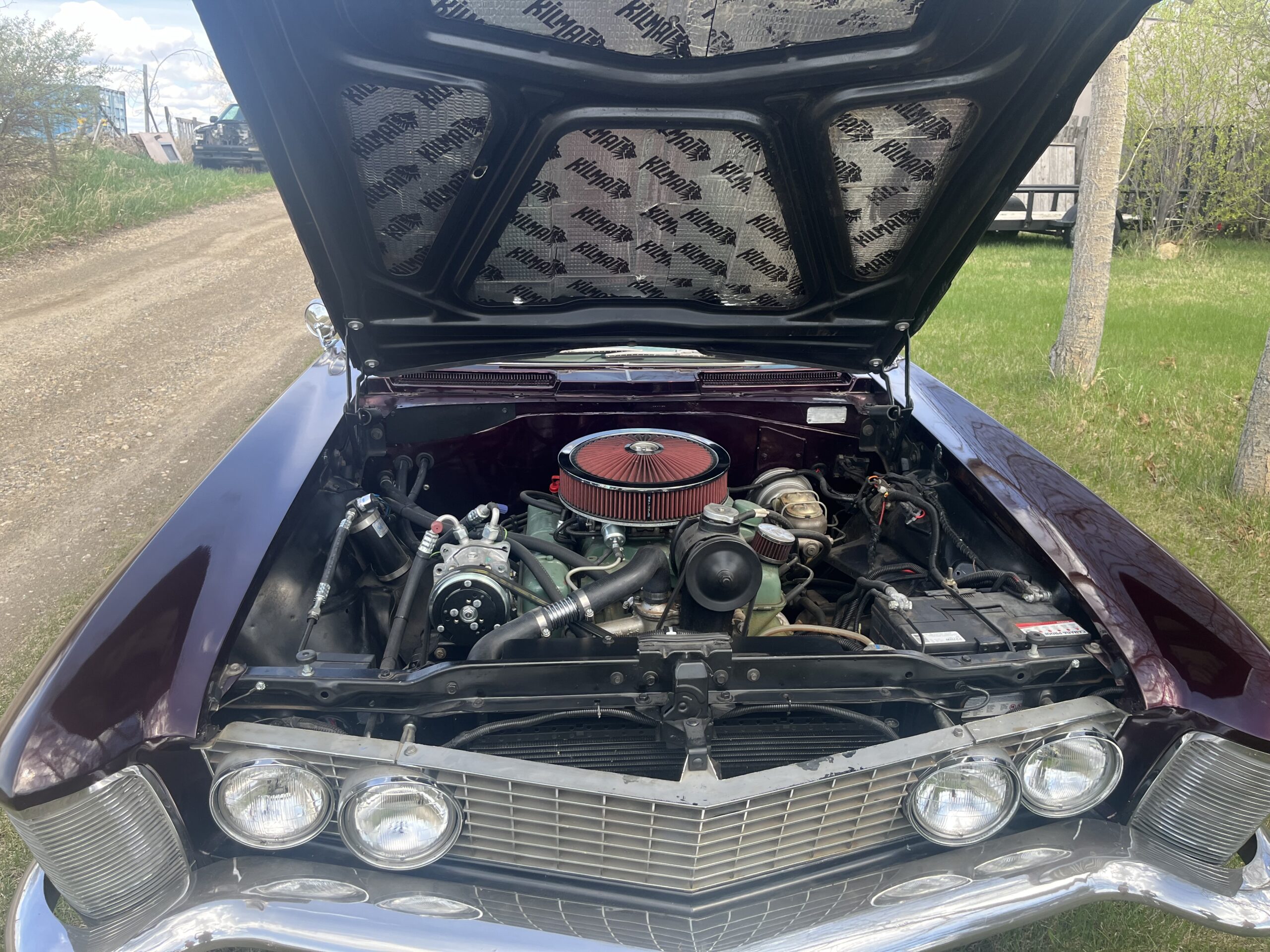 IMG_9562 Robin spruir 2024-05-14