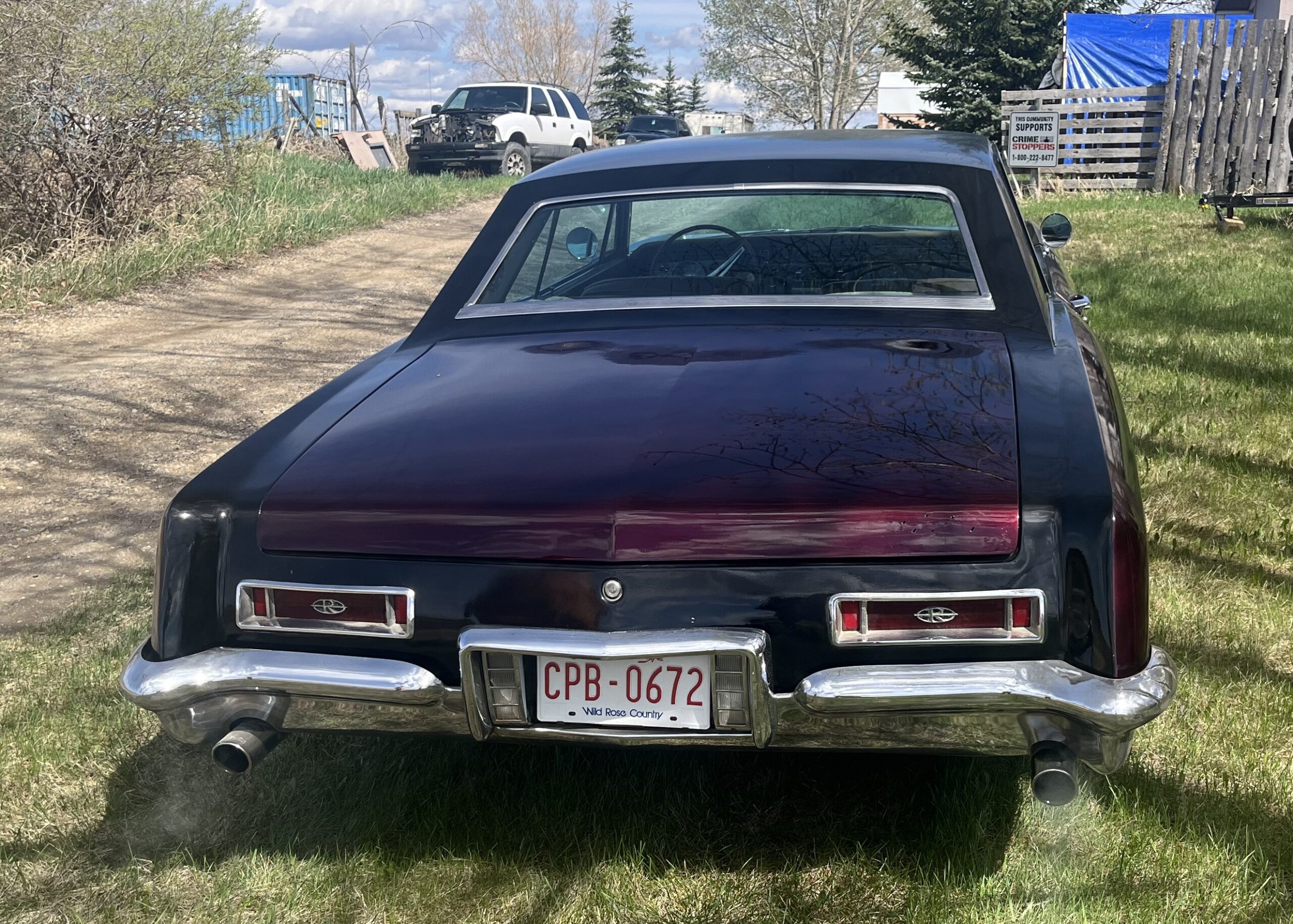 IMG_9564 Robin spruir 2024-05-14