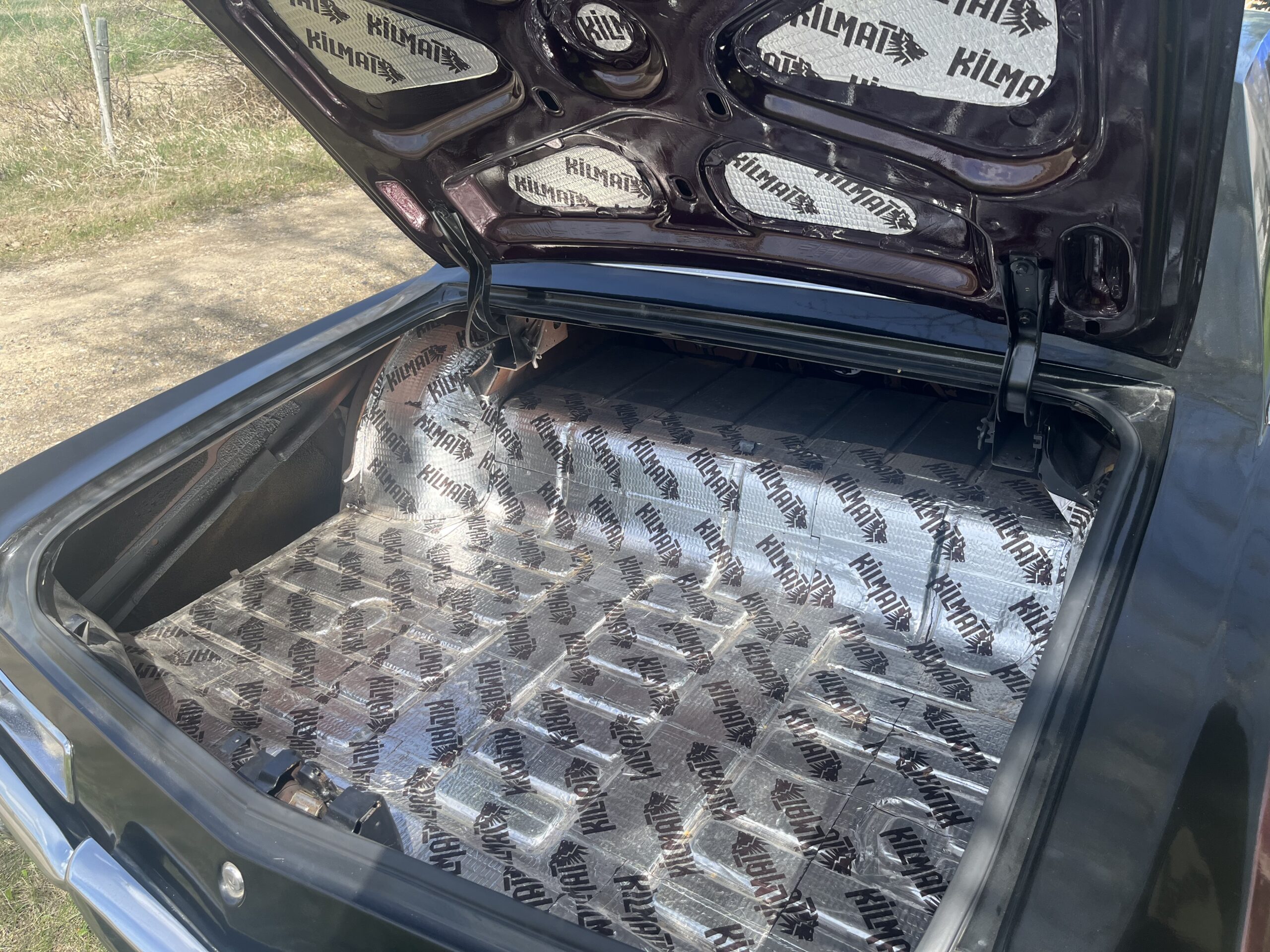 IMG_9565 Robin spruir 2024-05-14