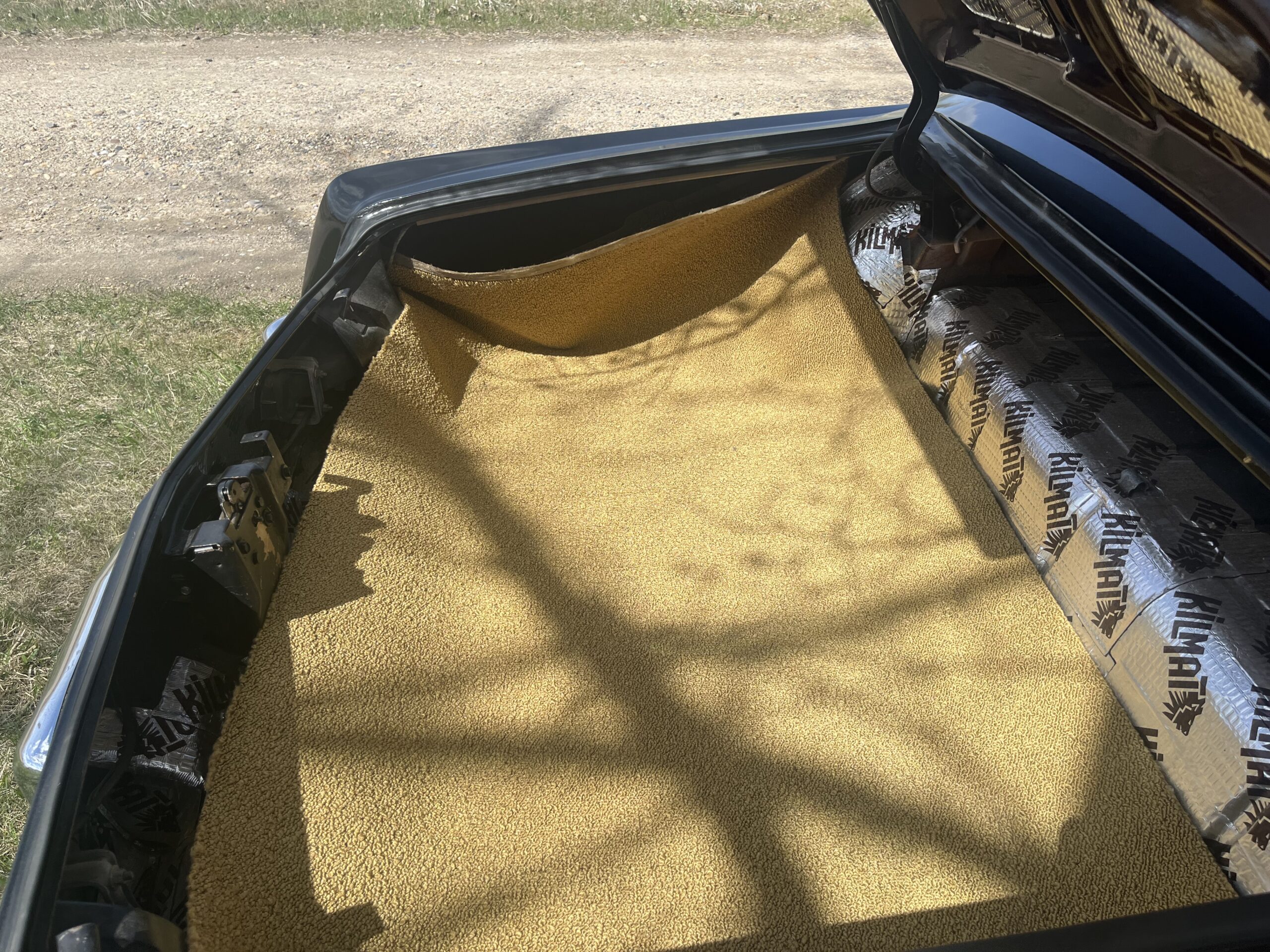 IMG_9566 Robin spruir 2024-05-14