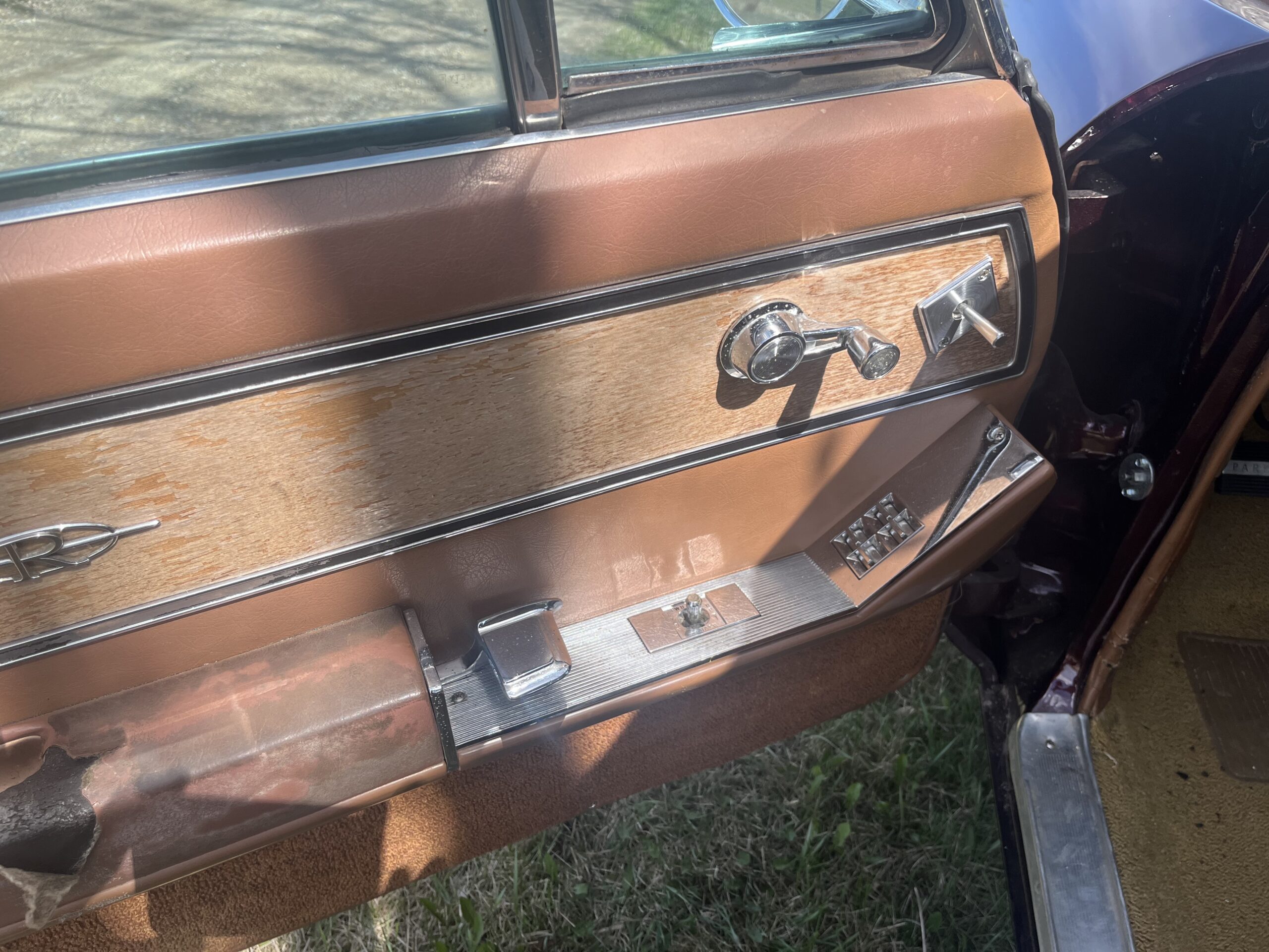 IMG_9572 Robin spruir 2024-05-14