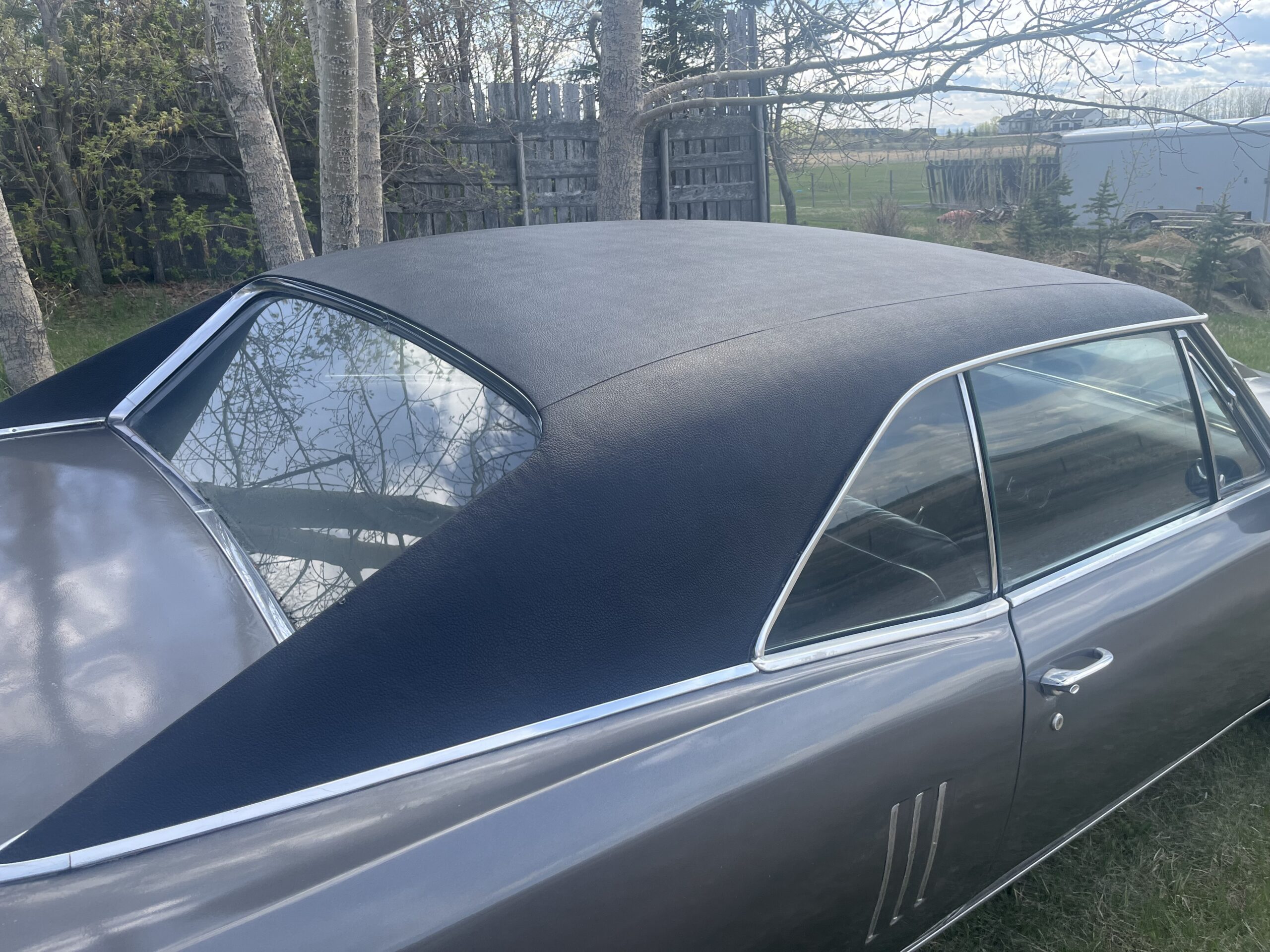 IMG_9576 Robin spruit 2024-05-14