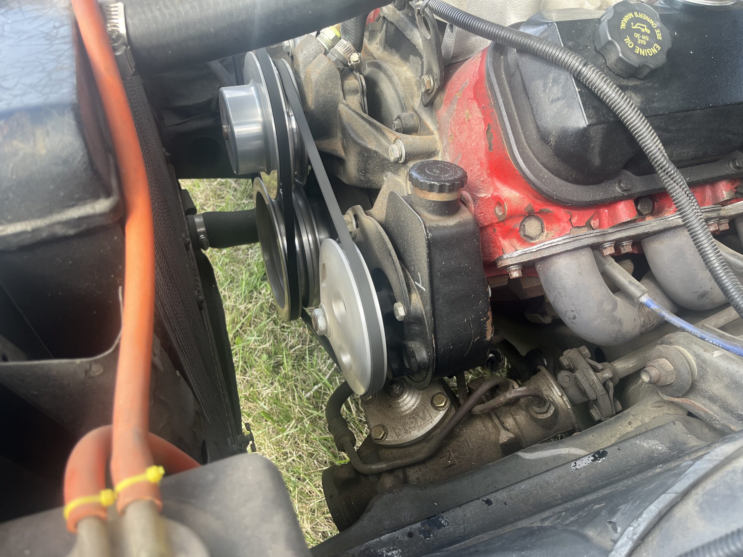 IMG_9578 Robin spruit 2024-05-14