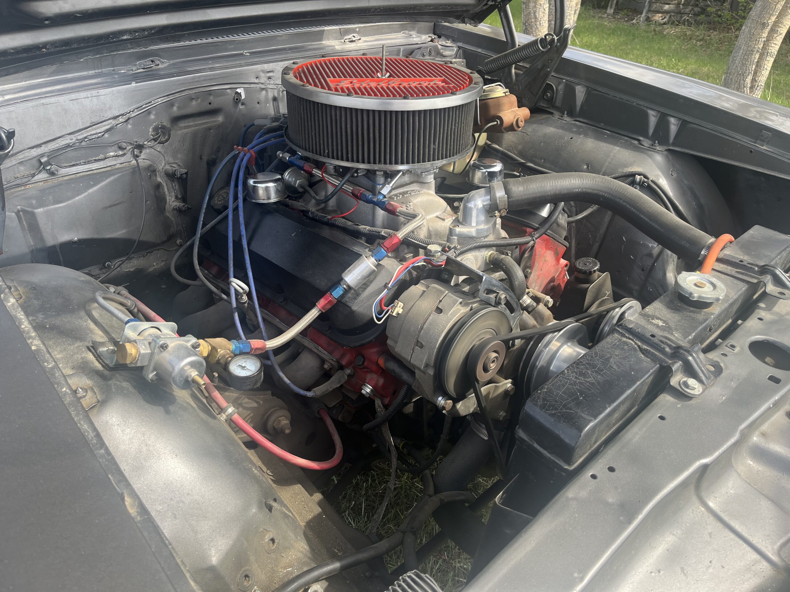 IMG_9579 Robin spruit 2024-05-14