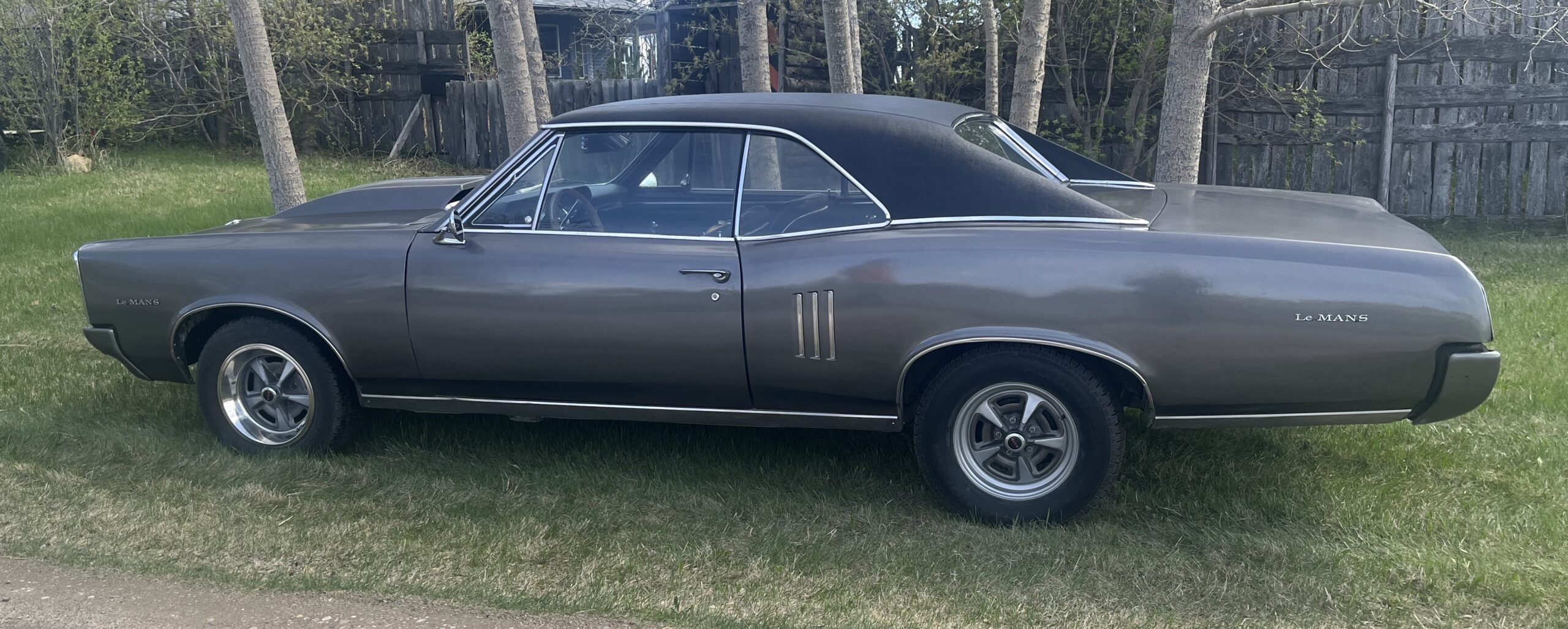 IMG_9580 Robin spruit 2024-05-14