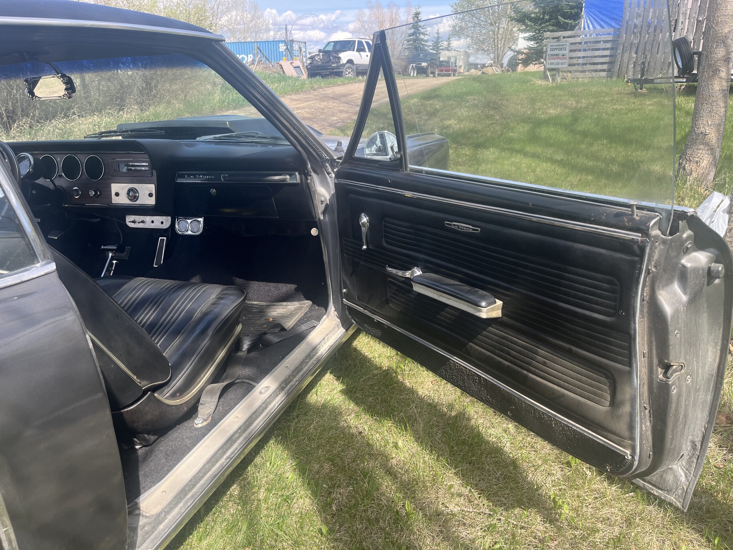 IMG_9582 Robin spruit 2024-05-14