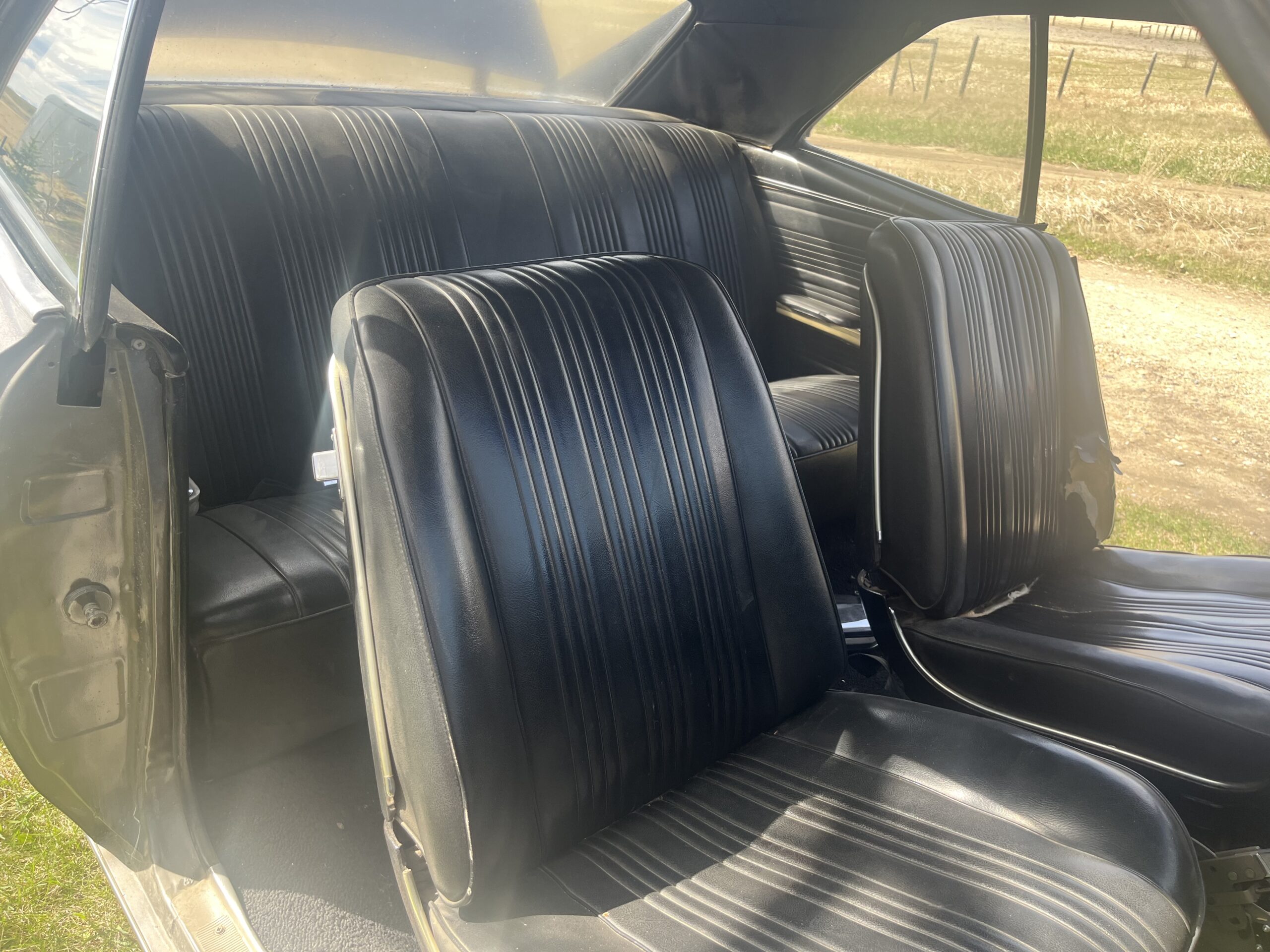 IMG_9584 Robin spruit 2024-05-14