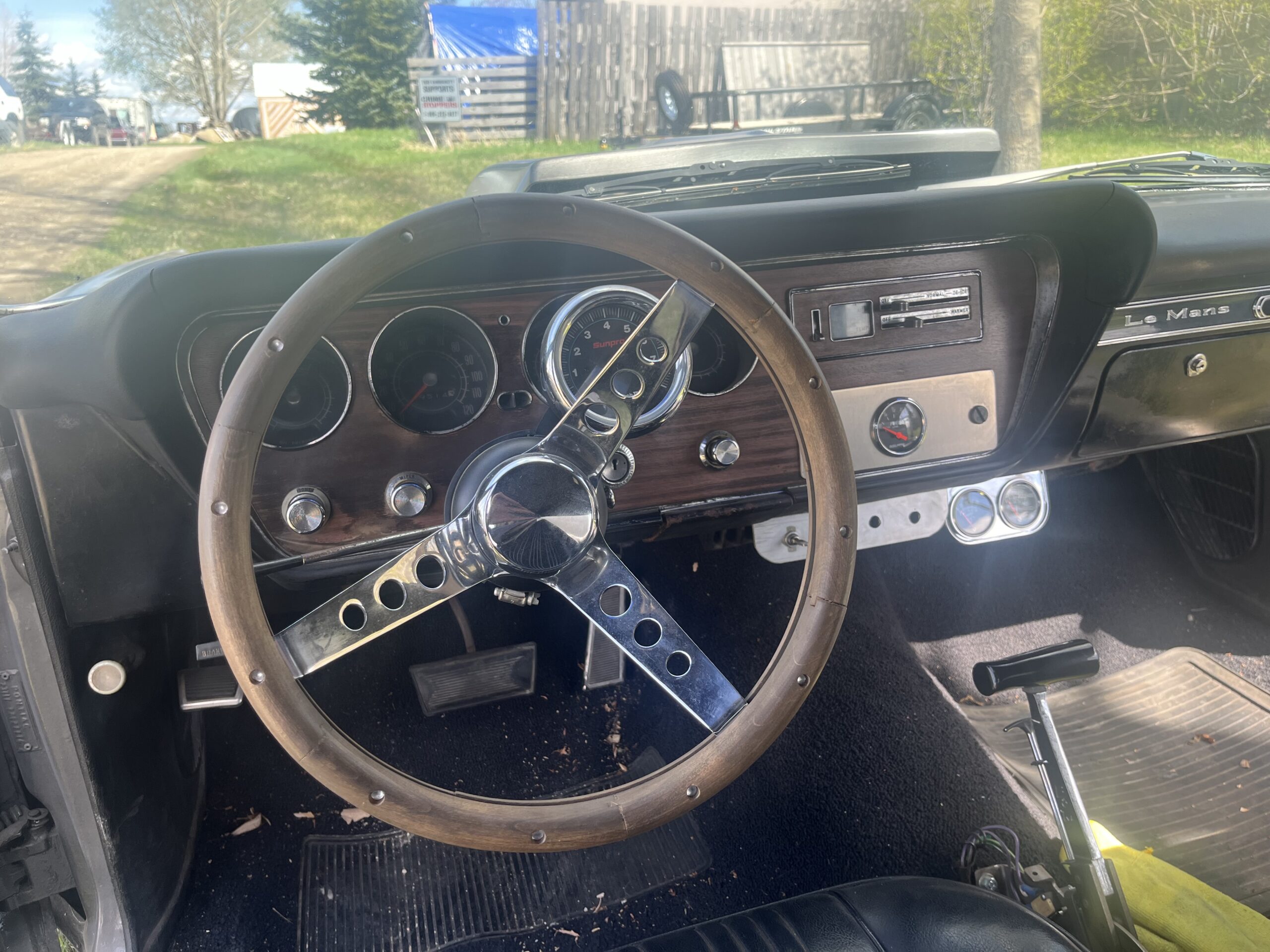 IMG_9585 Robin spruit 2024-05-14